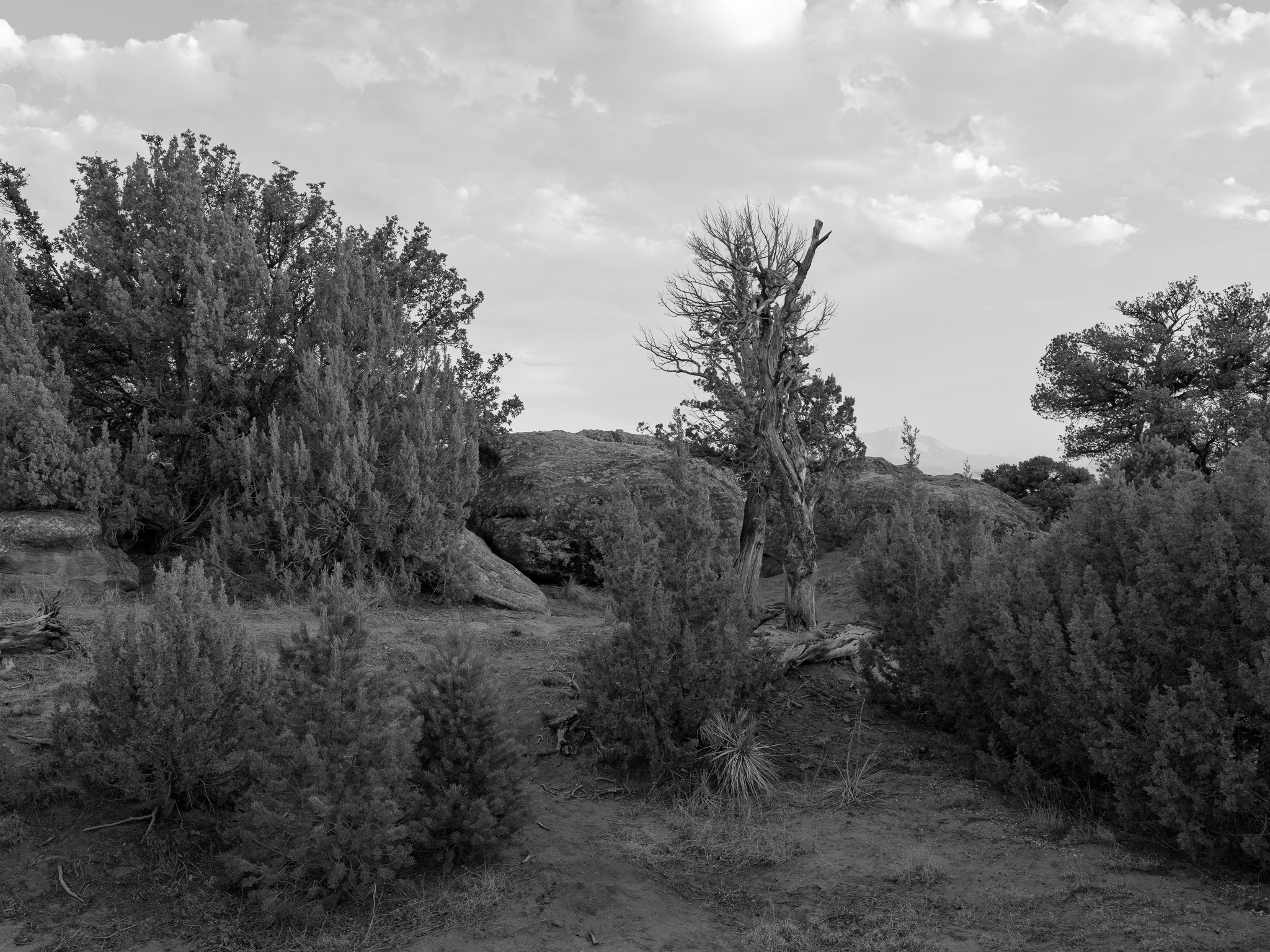 Lathrop State Park 3