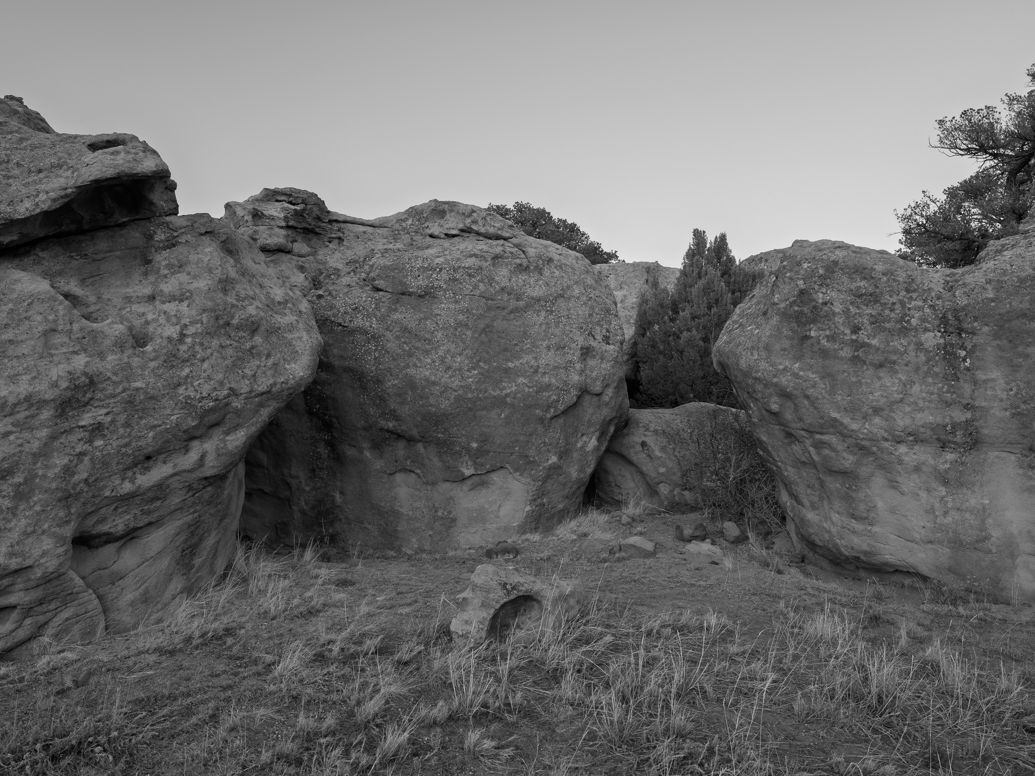 Lathrop State Park 4