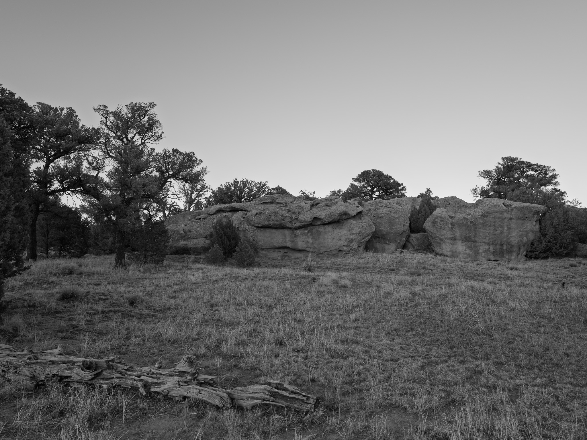 Lathrop State Park 5