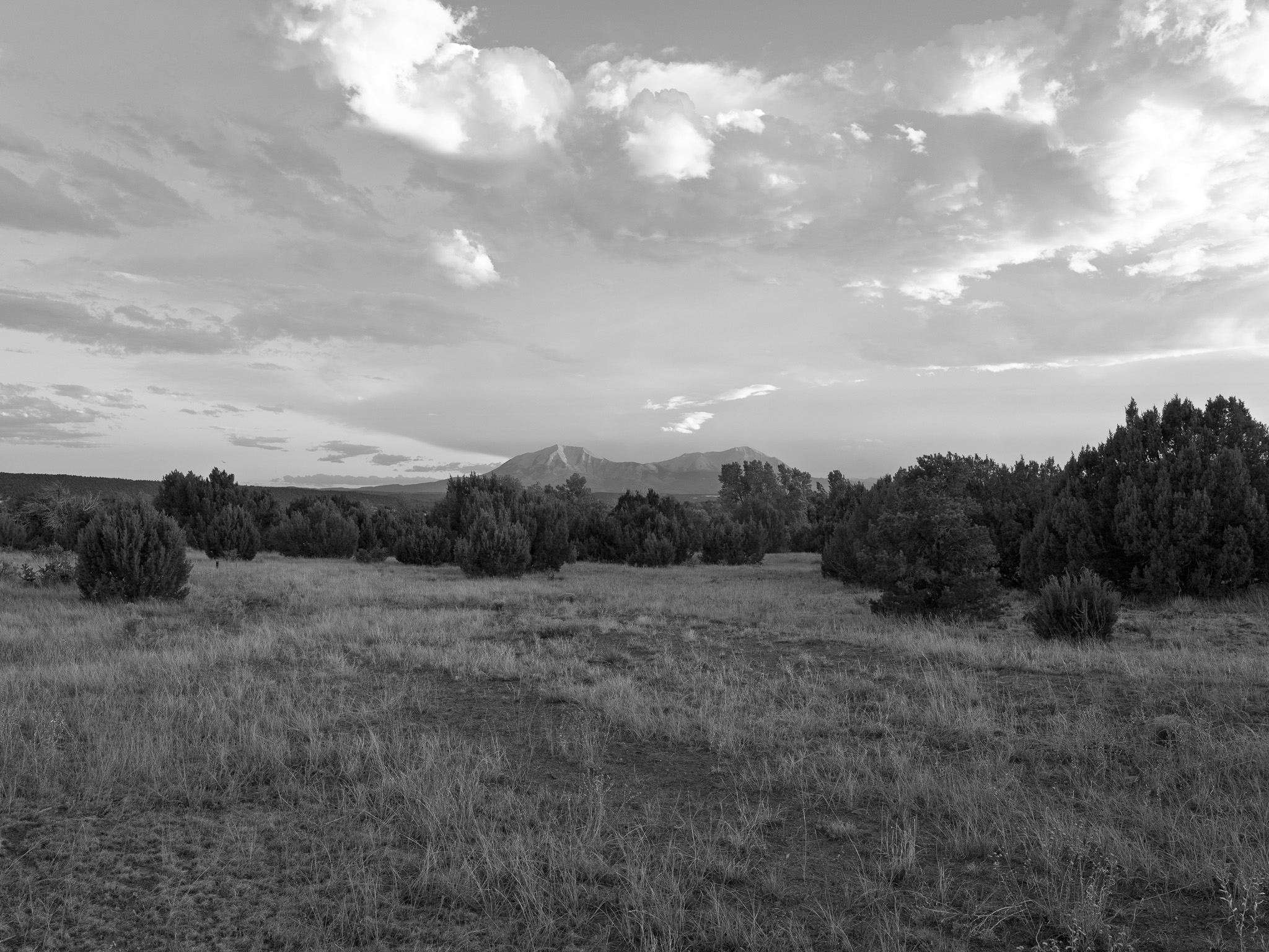 Lathrop State Park 6