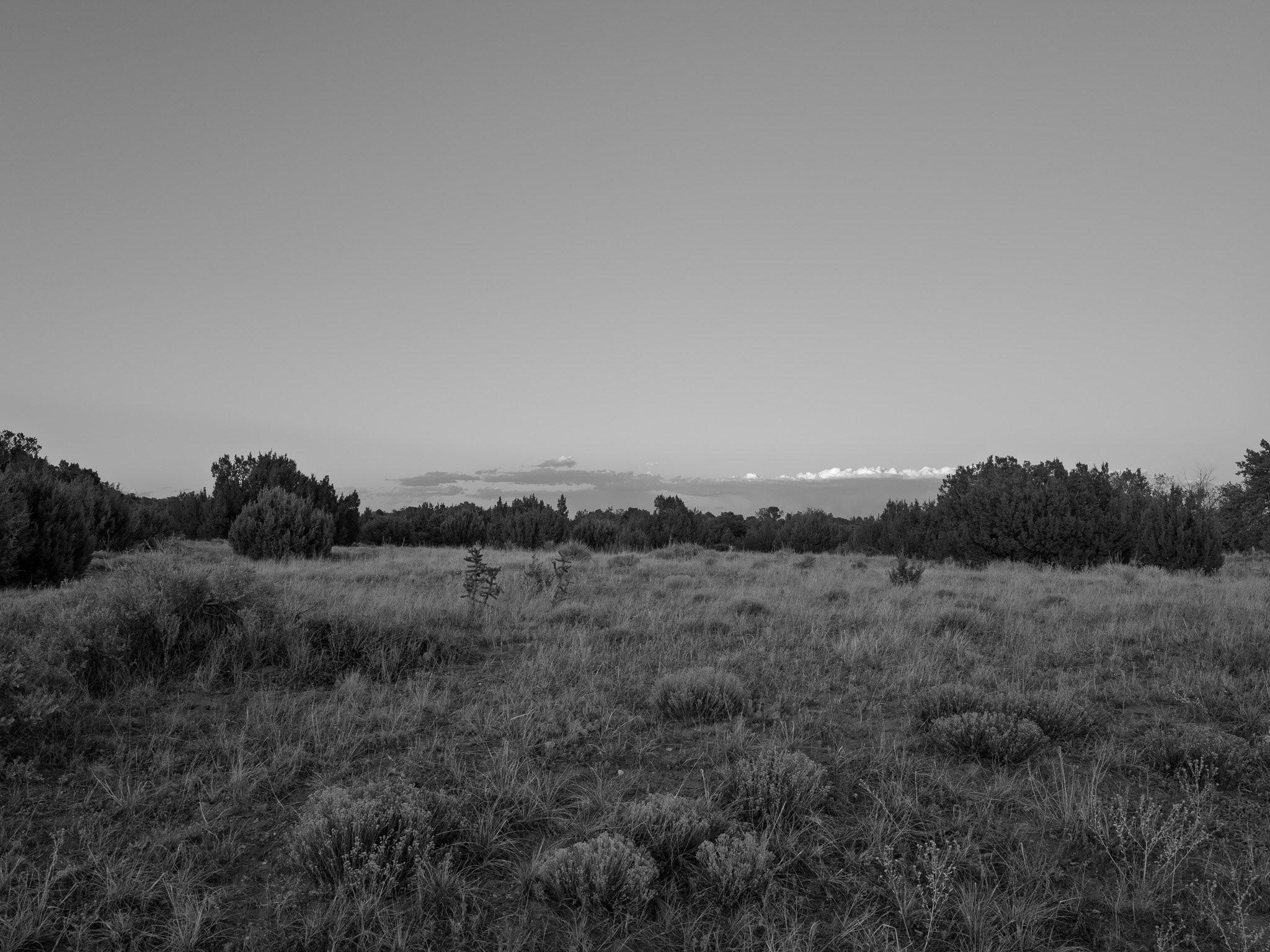Lathrop State Park 7