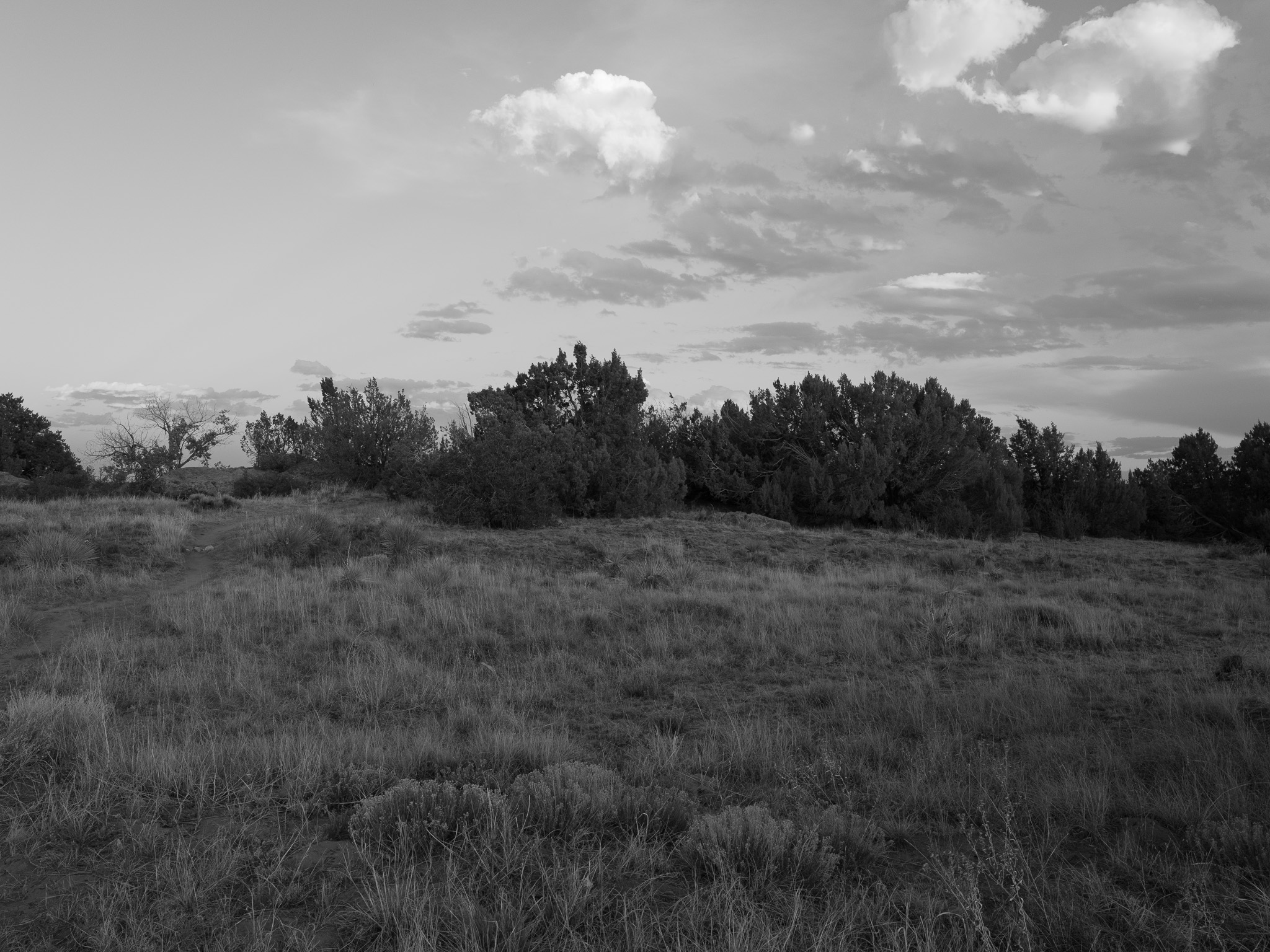 Lathrop State Park 8