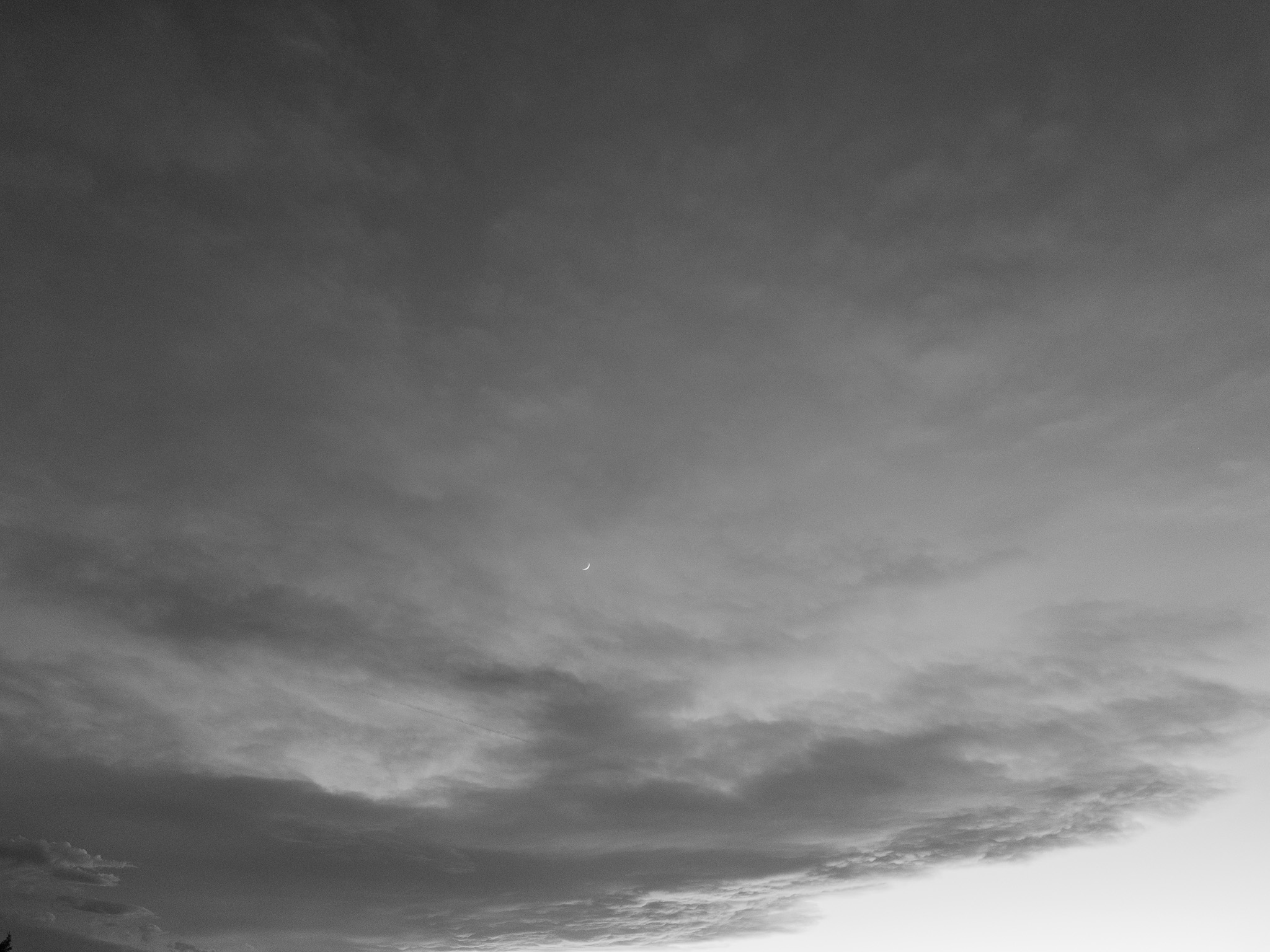Lathrop State Park 10