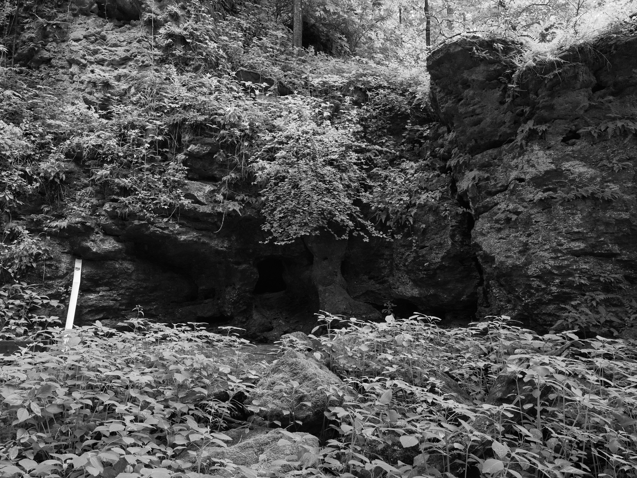 Maquoketa Caves State Park 2