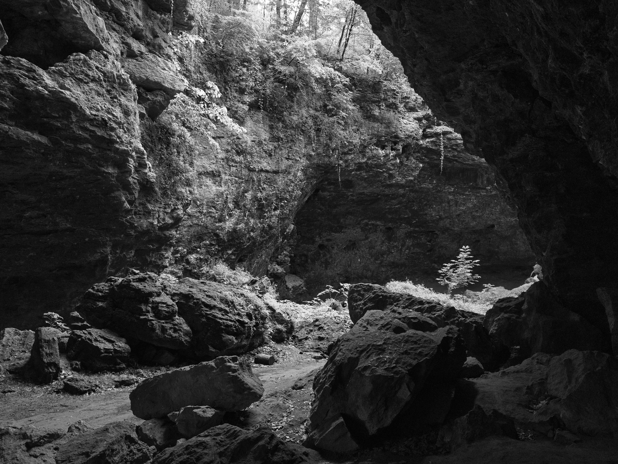 Maquoketa Caves State Park 4