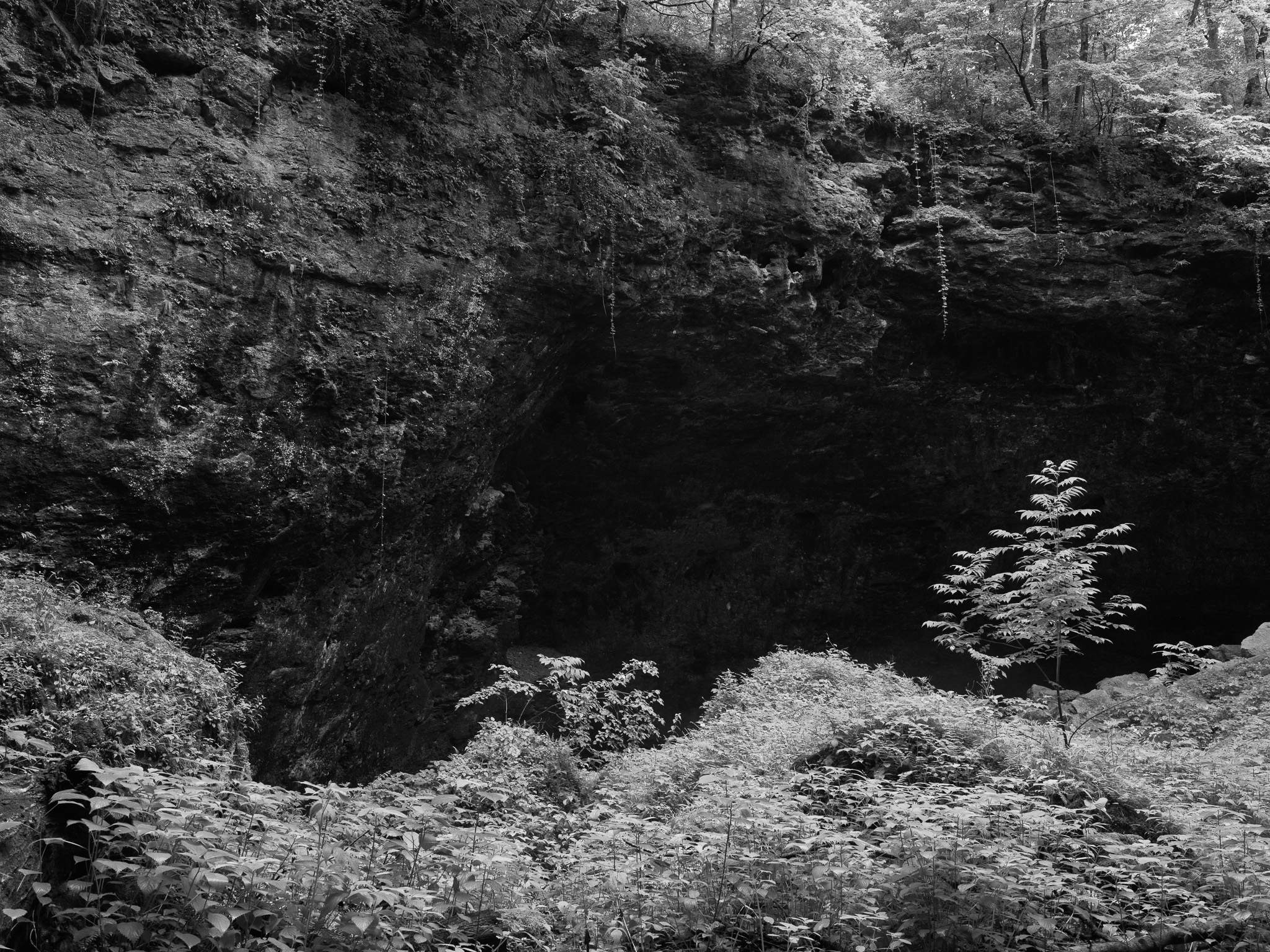 Maquoketa Caves State Park 6