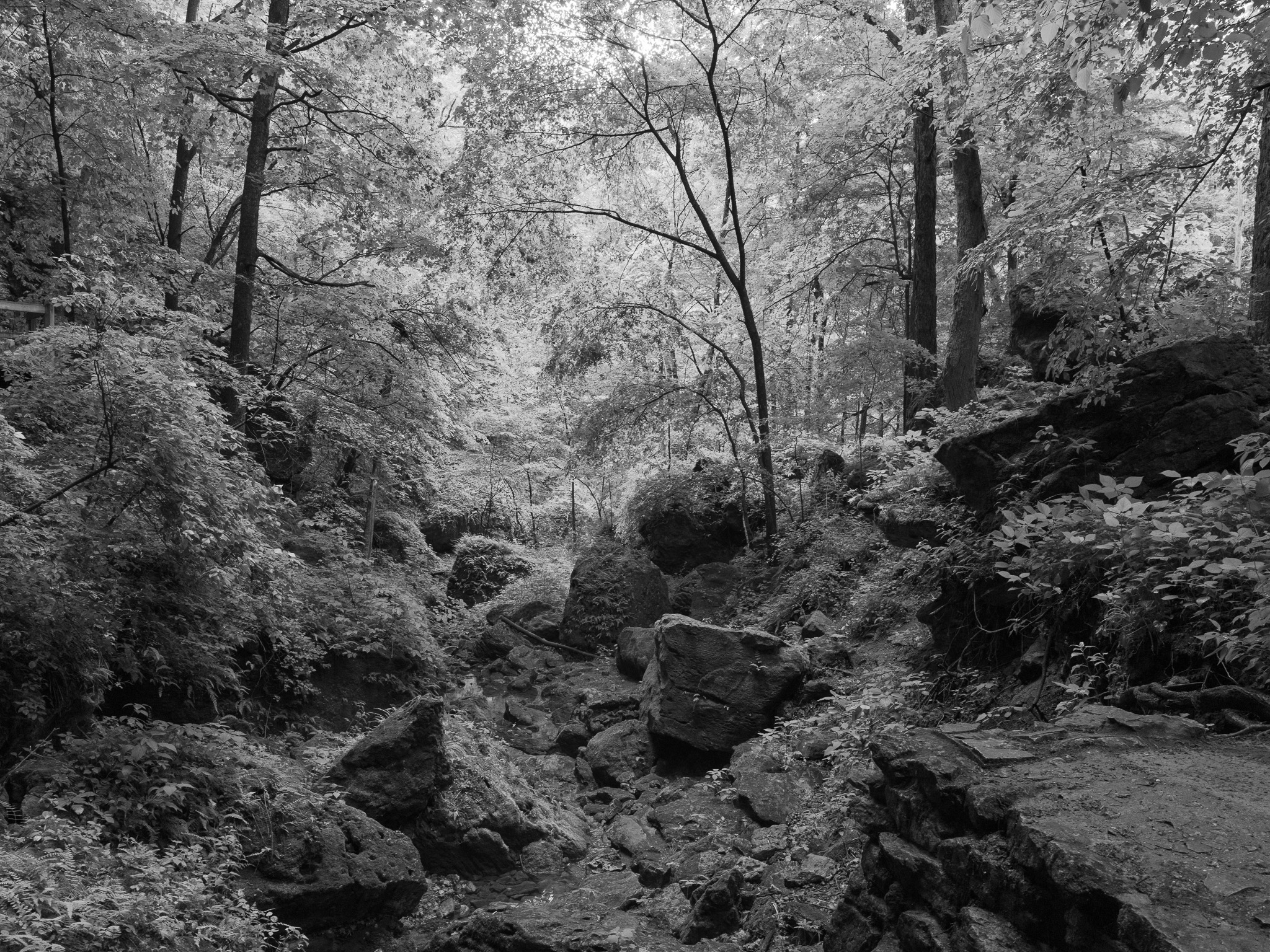 Maquoketa Caves State Park 9