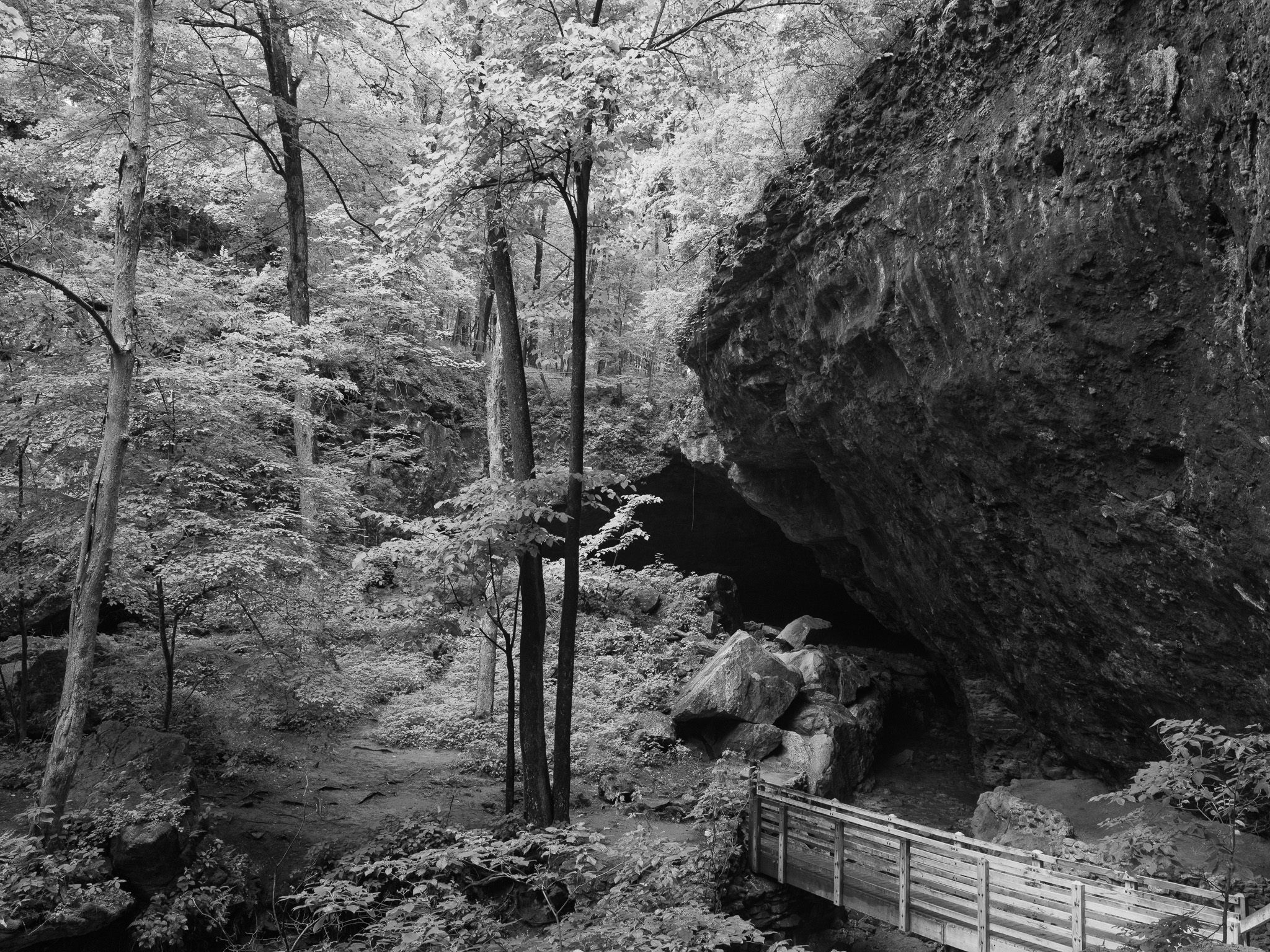 Maquoketa Caves State Park 11