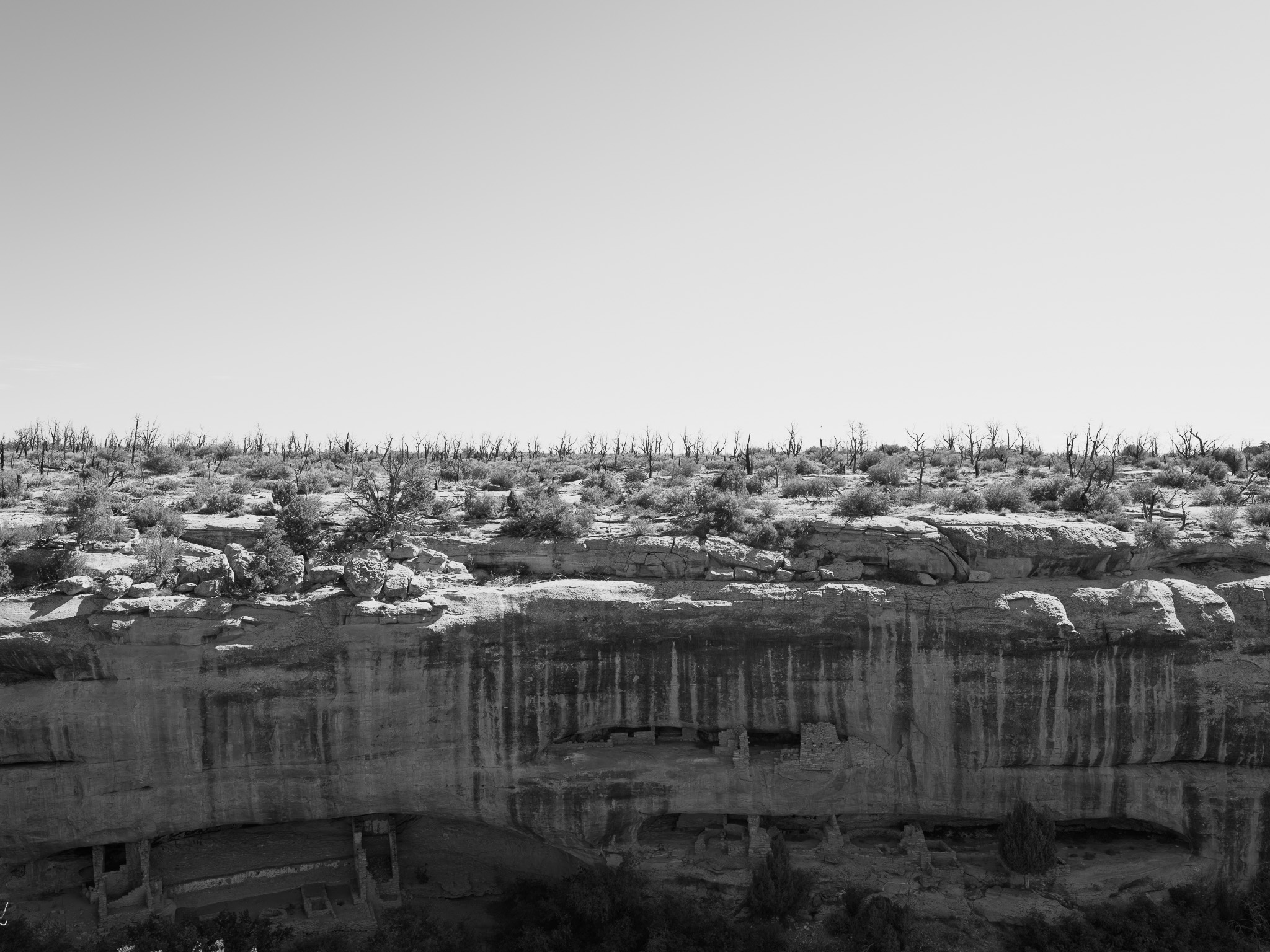 Mesa Verde National Park 4
