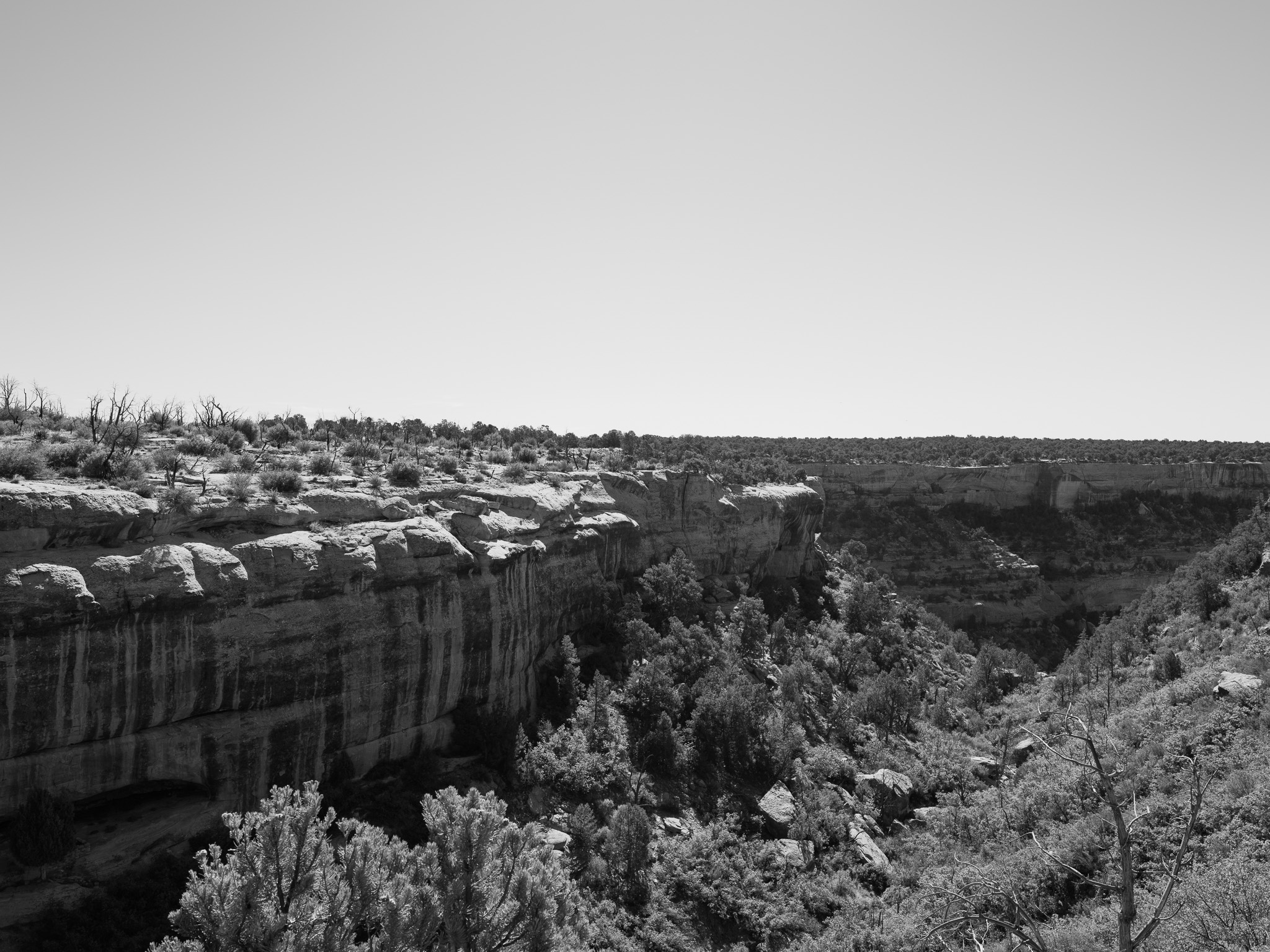 Mesa Verde National Park 5