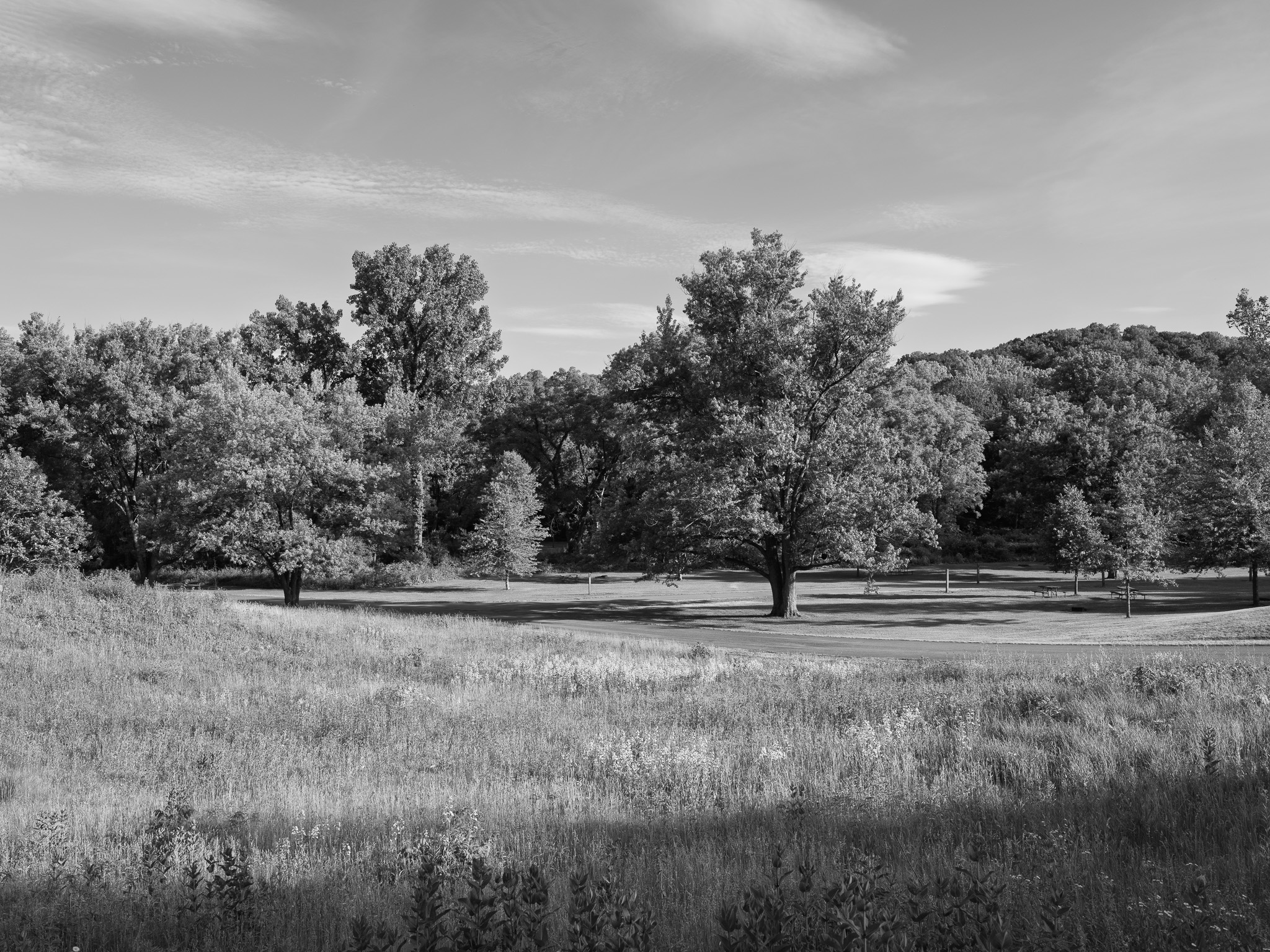 Mississippi Palisades State Park 6