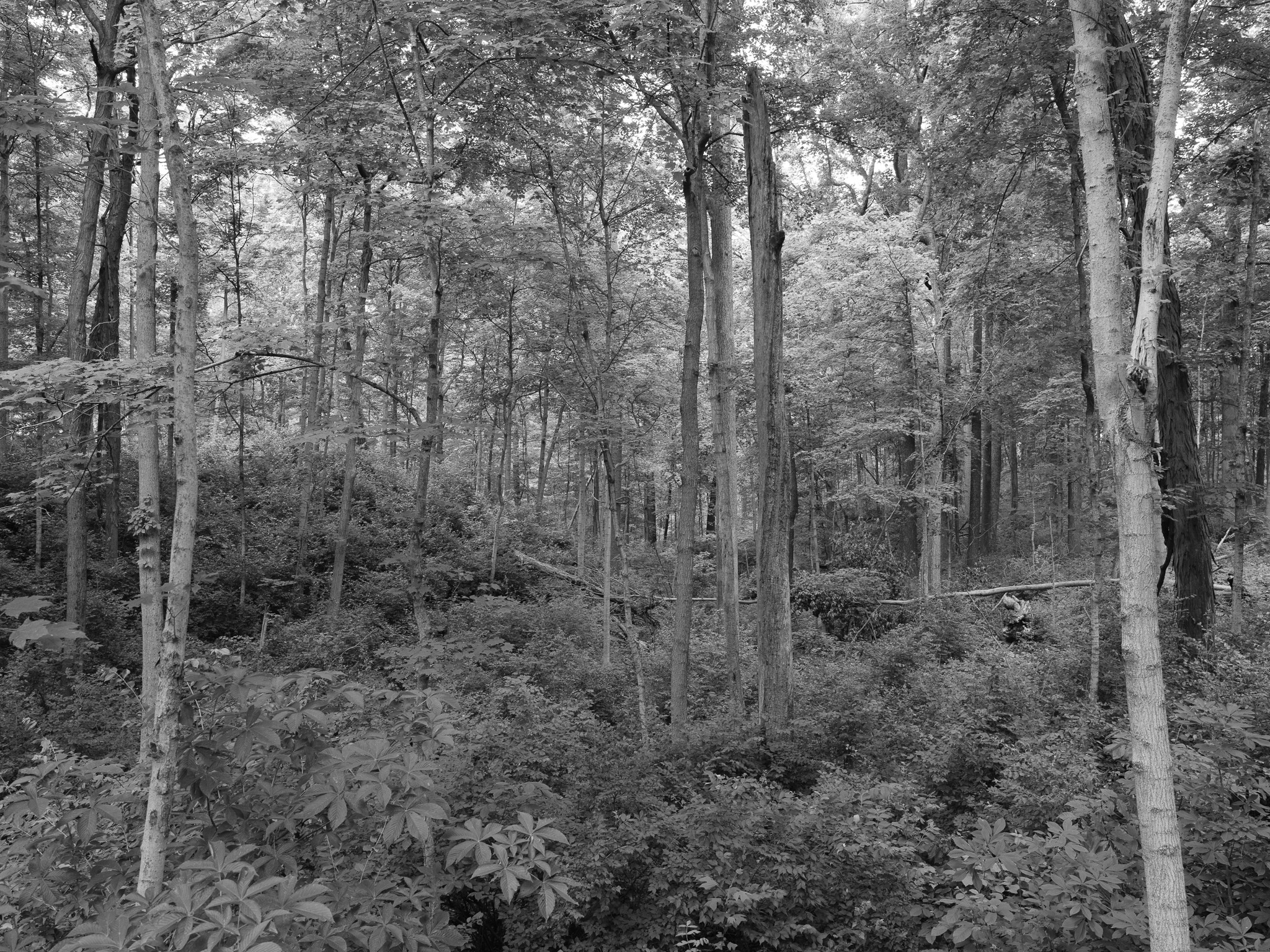 Mounds State Park 4