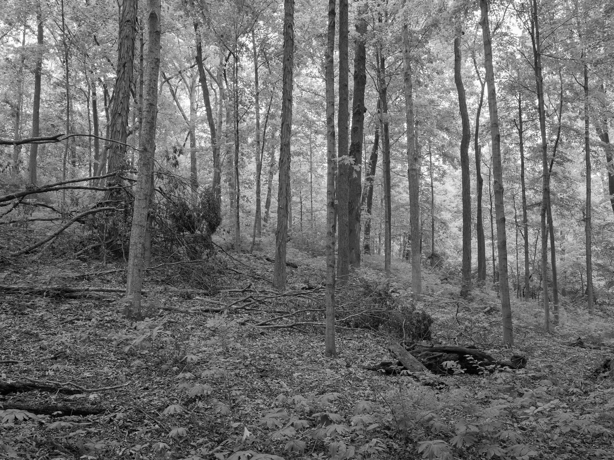Mounds State Park 6