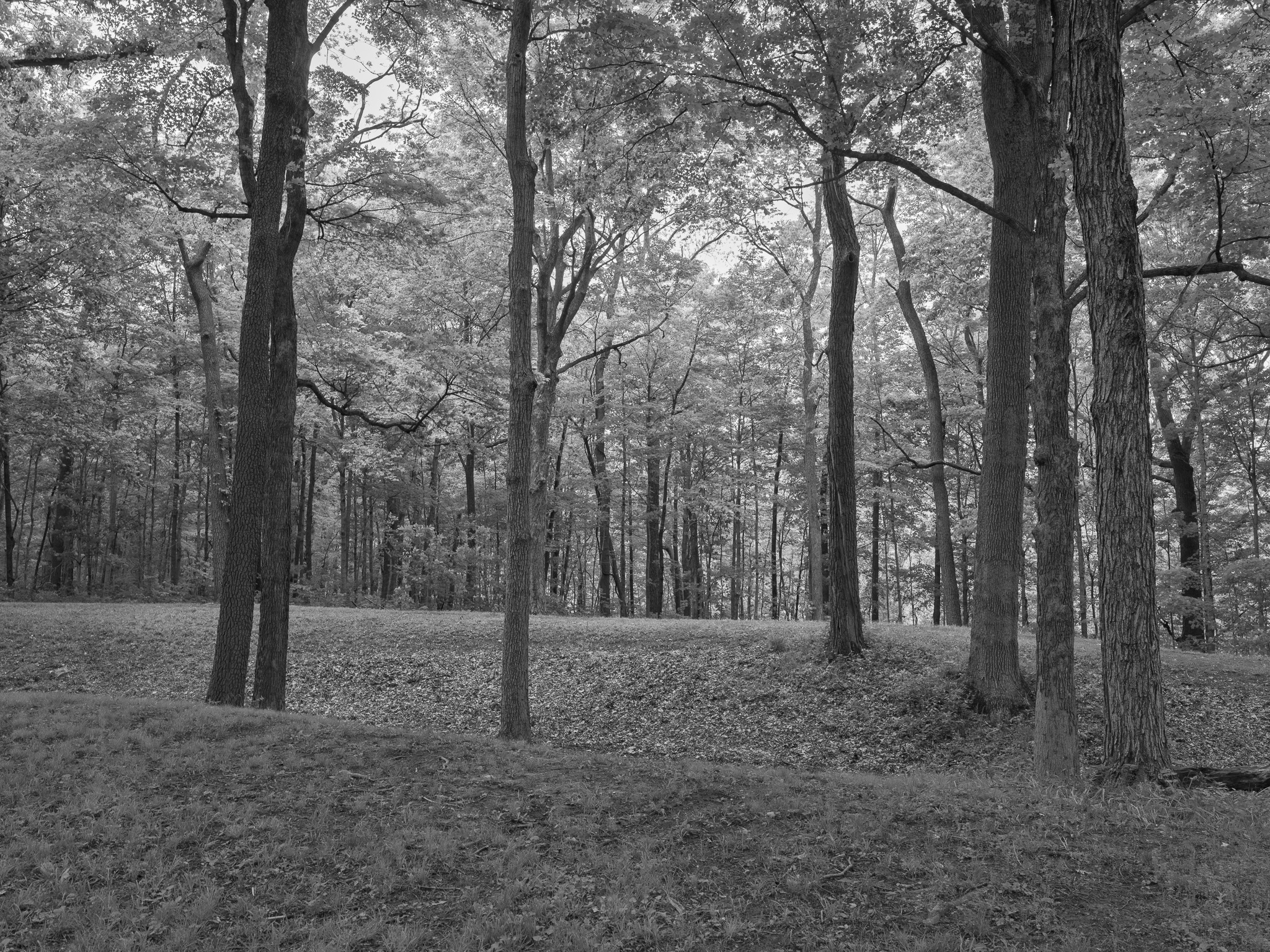 Mounds State Park 9