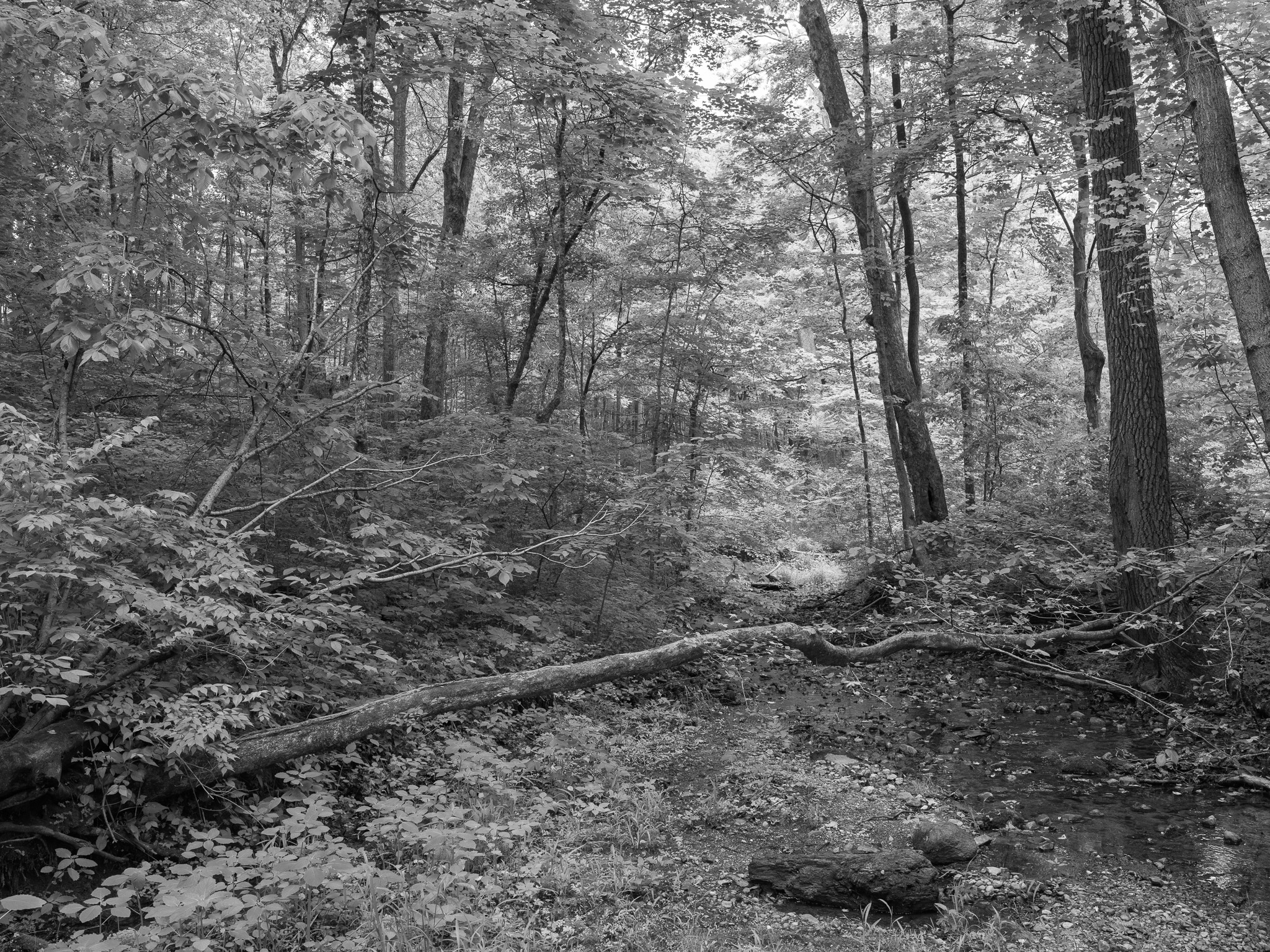 Mounds State Park 10