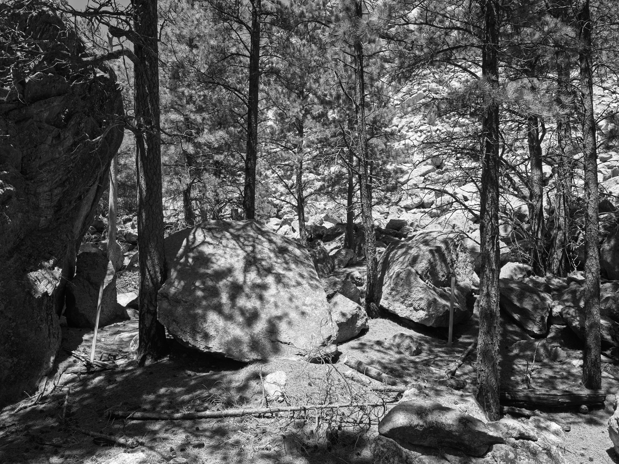 Mount Rushmore National Memorial 3