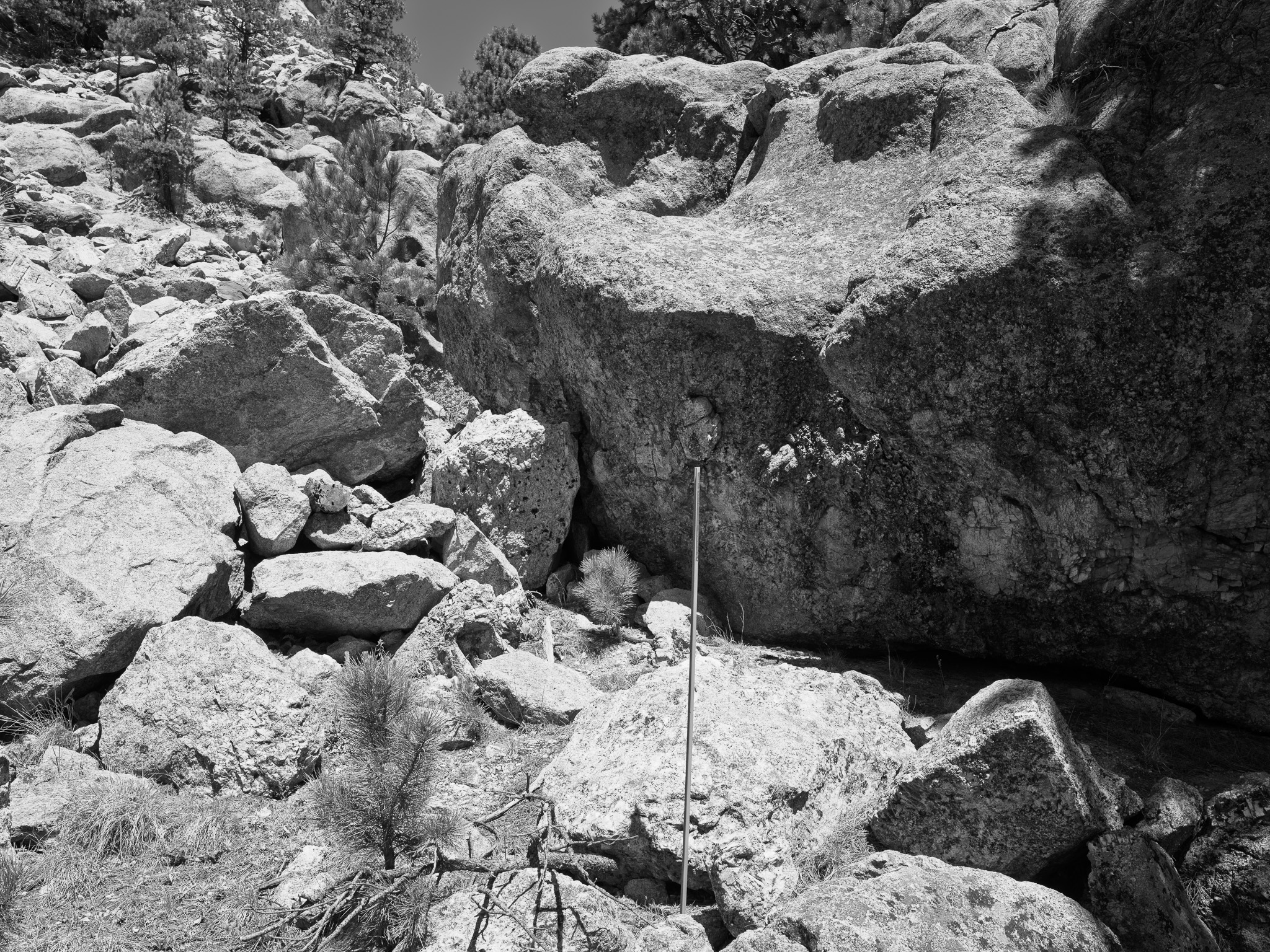 Mount Rushmore National Memorial 4
