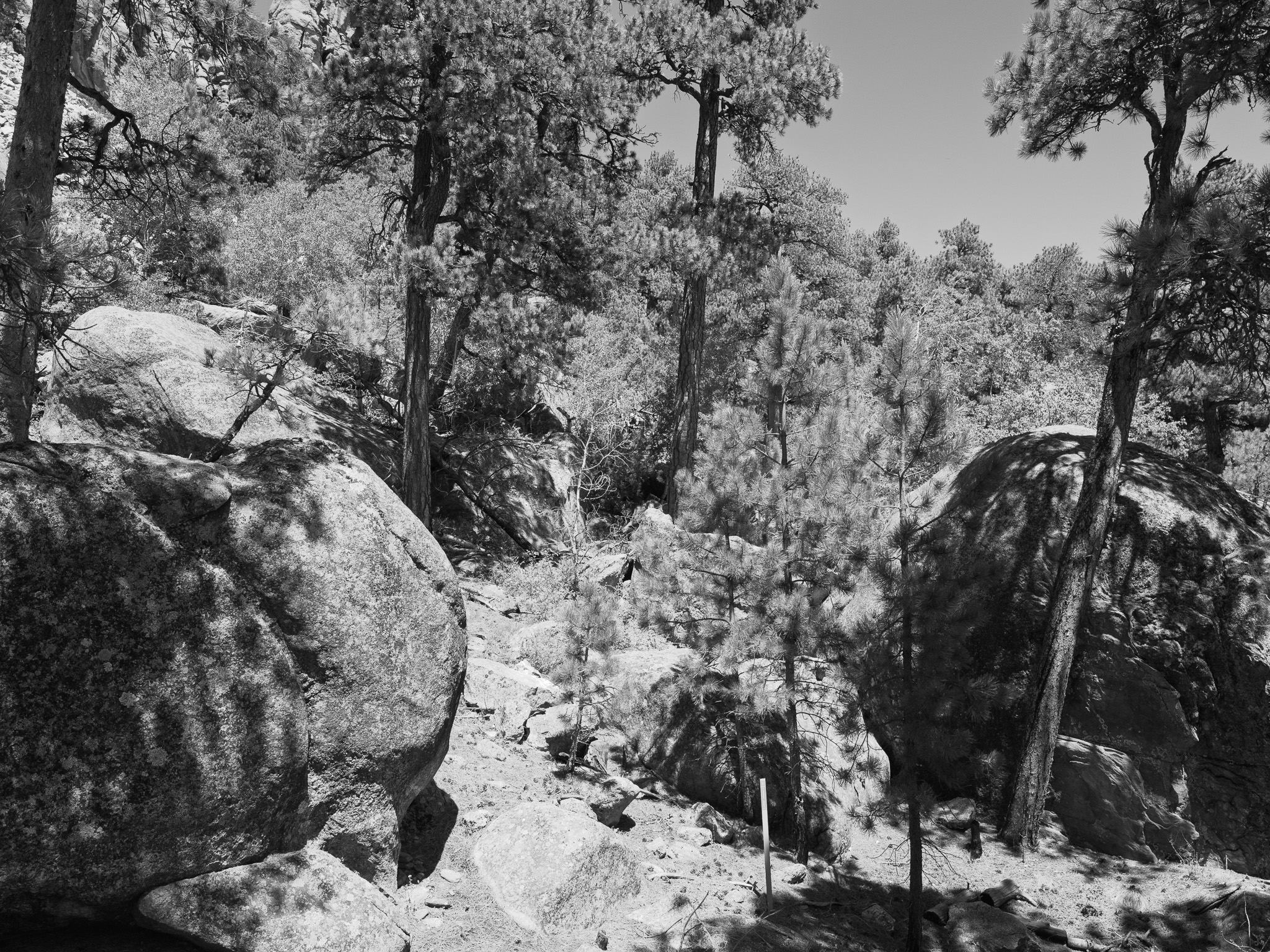 Mount Rushmore National Memorial 5