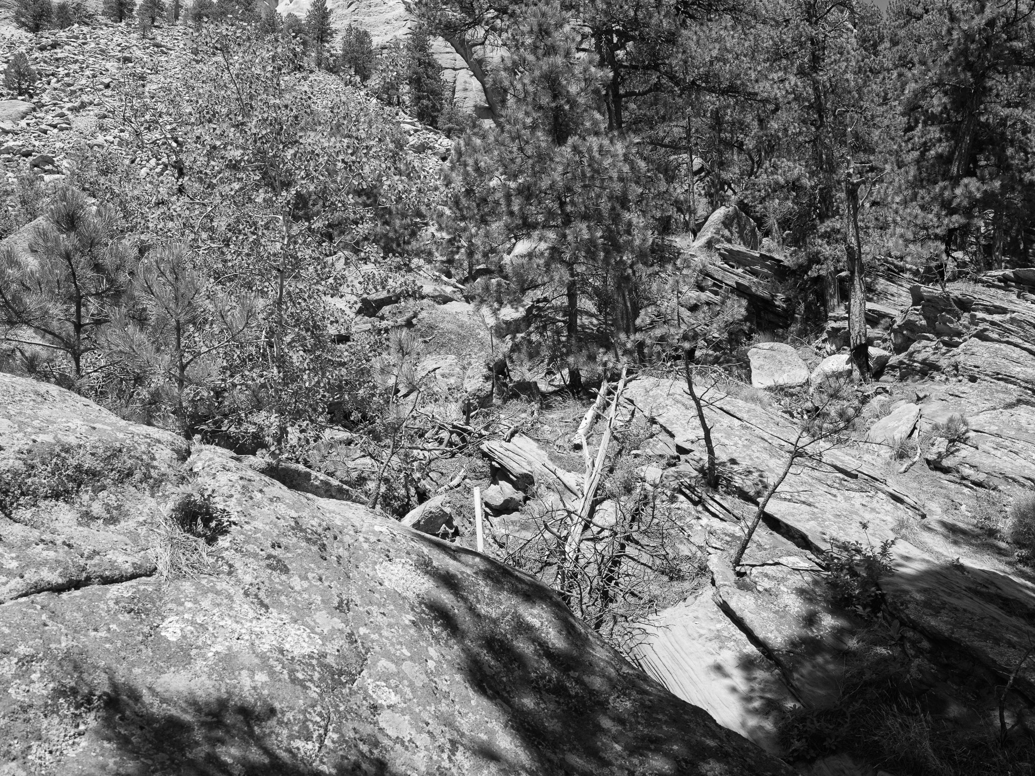 Mount Rushmore National Memorial 6