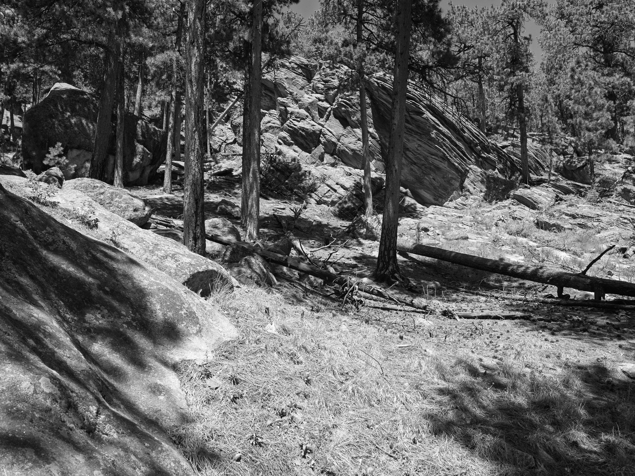 Mount Rushmore National Memorial 7