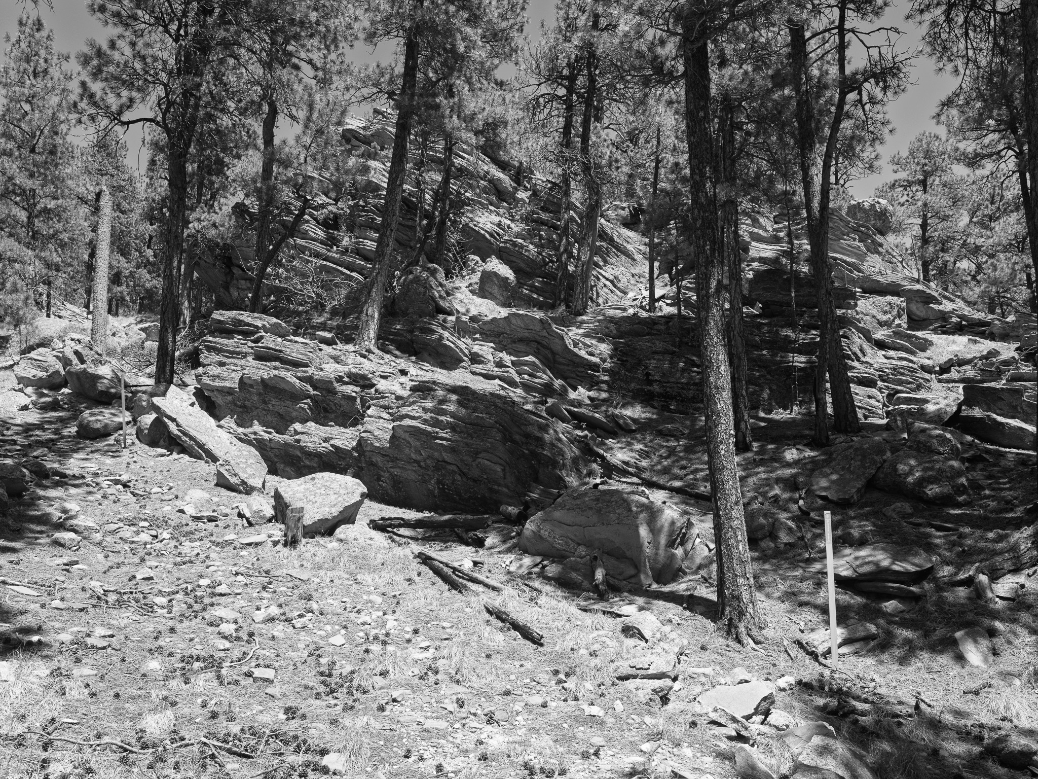 Mount Rushmore National Memorial 9