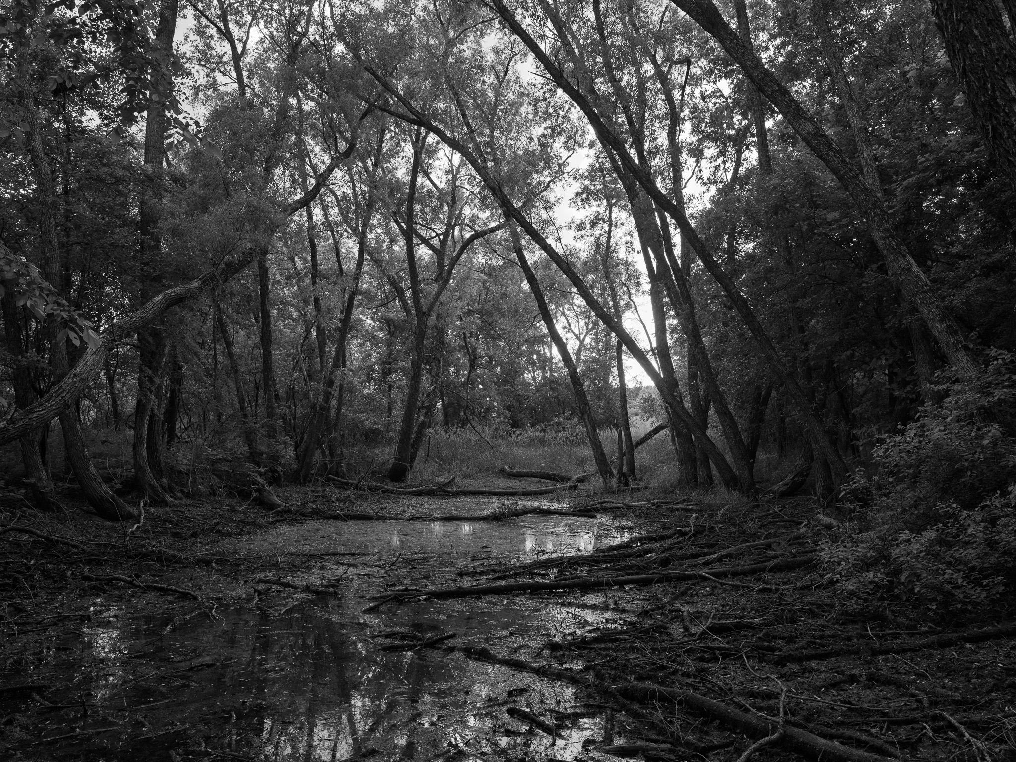Myre-Big Island State Park 5