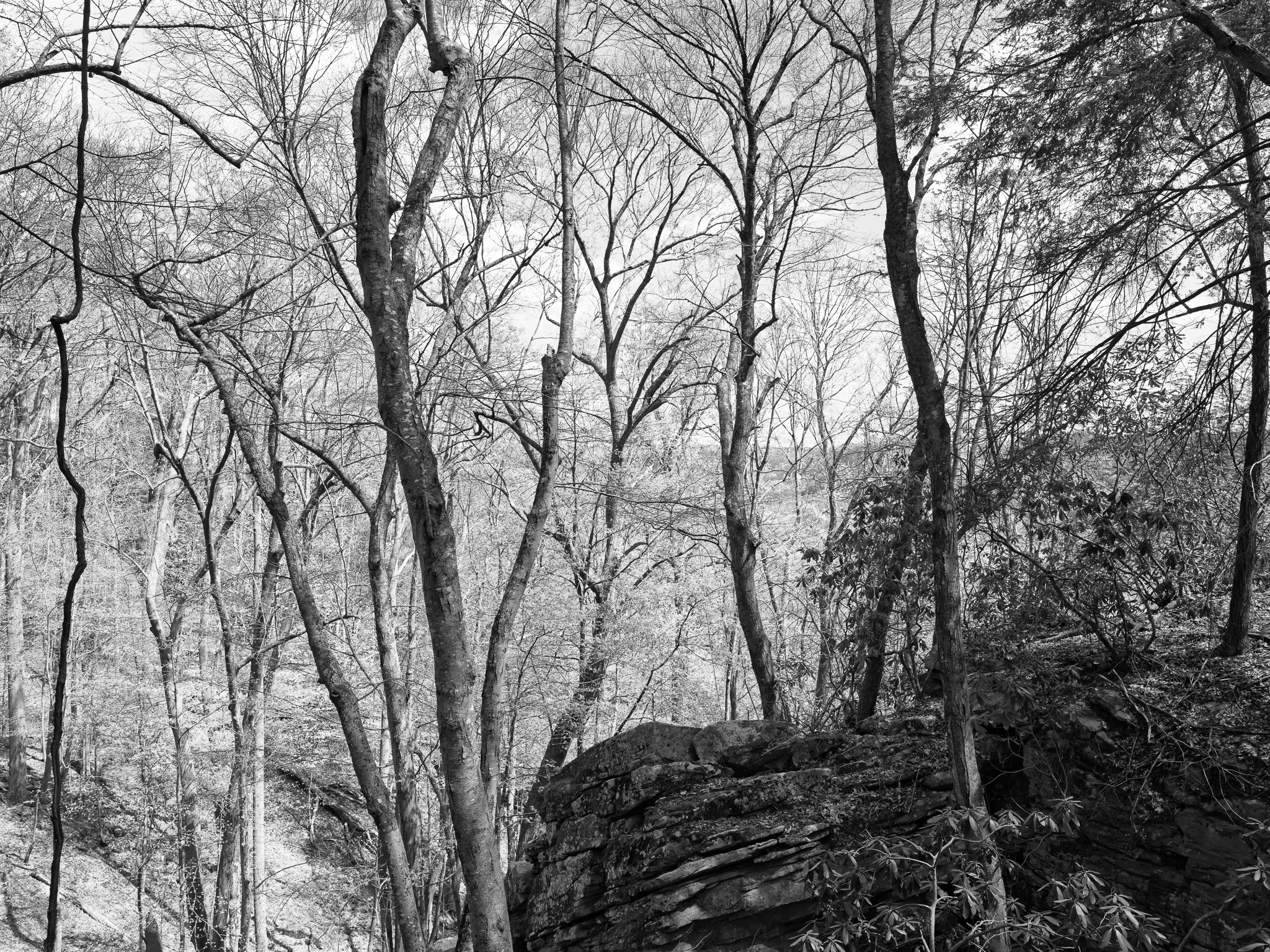 New River Gorge National Park and Preserve VI