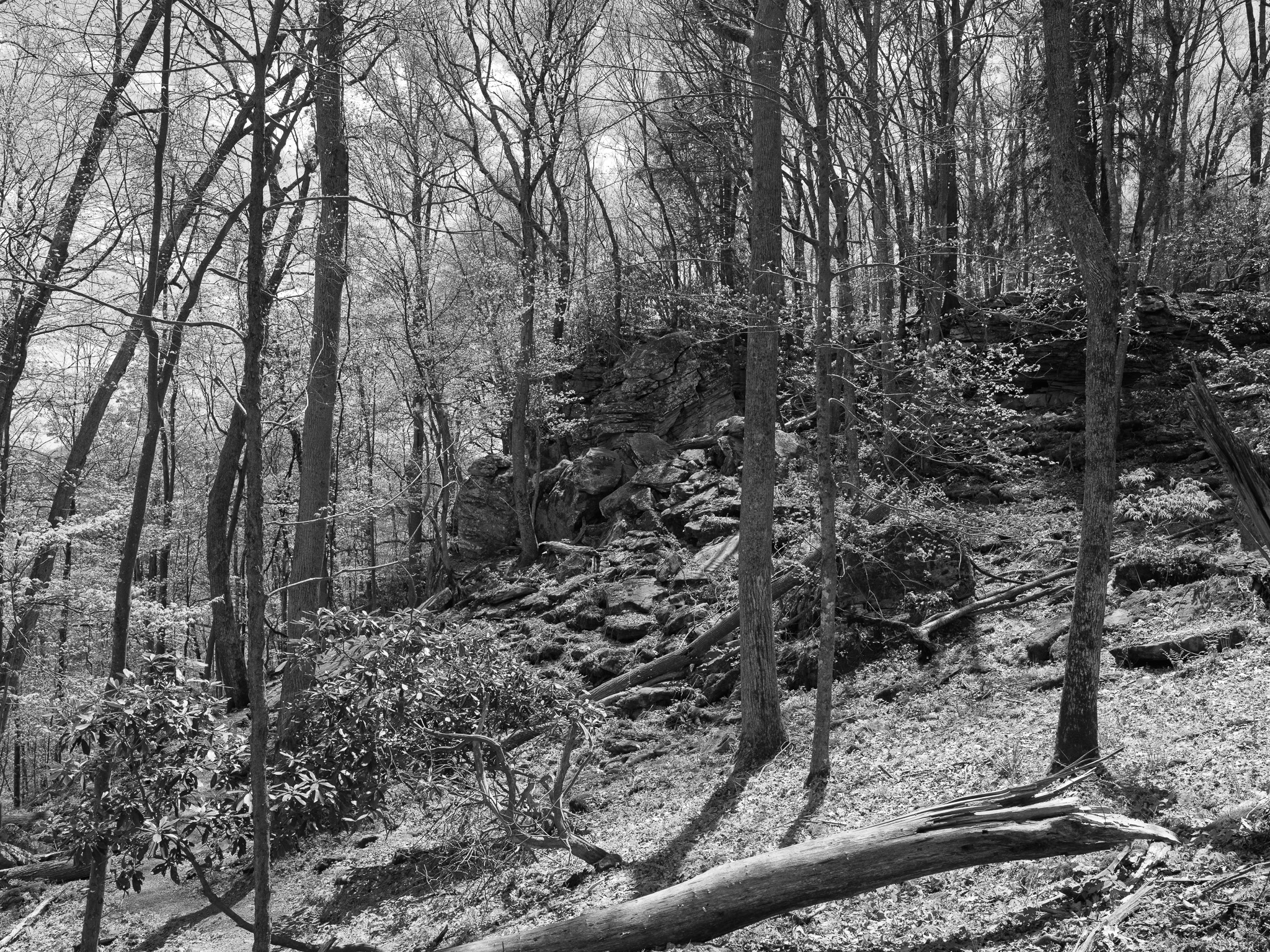 New River Gorge National Park and Preserve IX