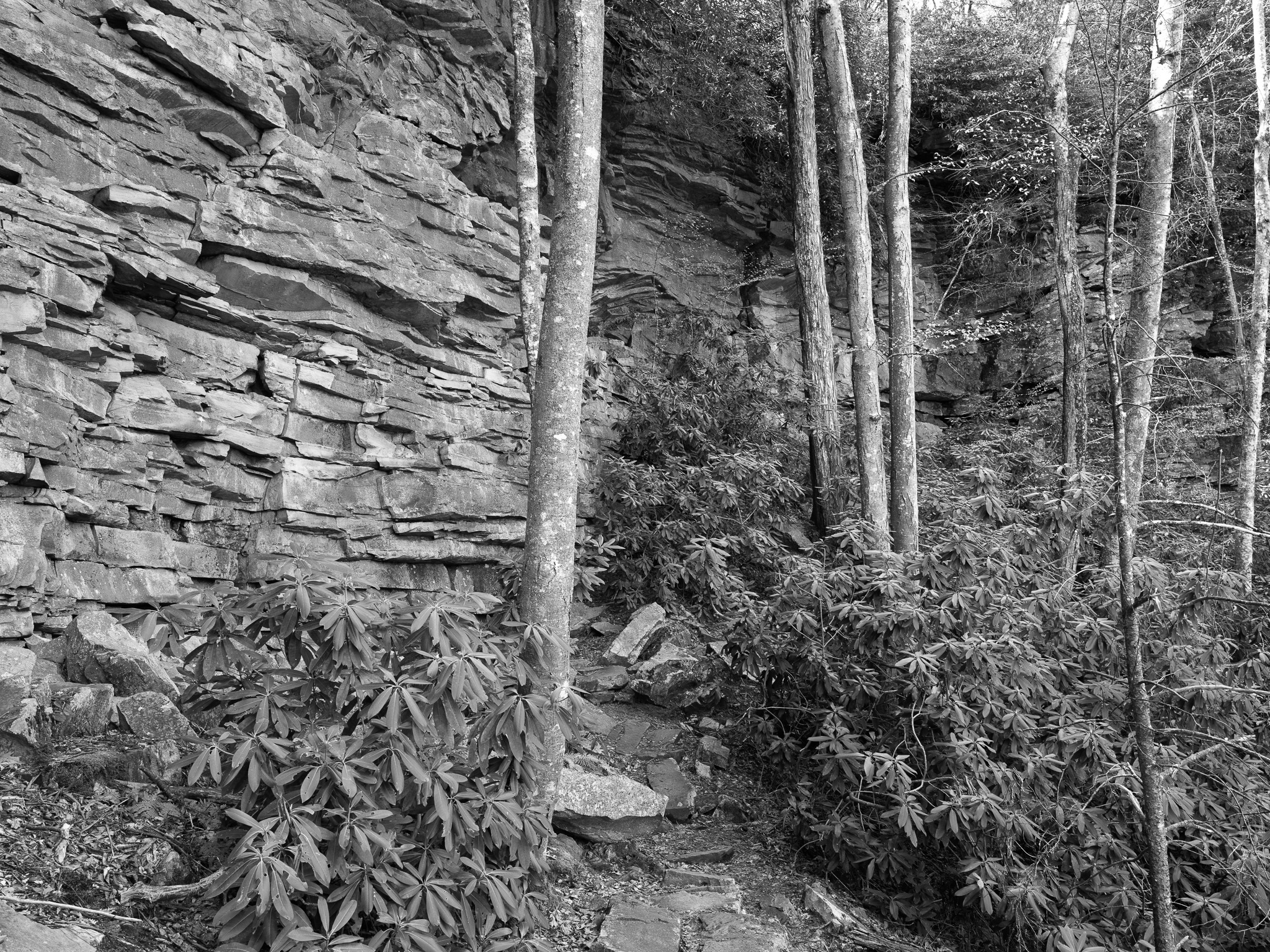 New River Gorge National Park and Preserve XIII