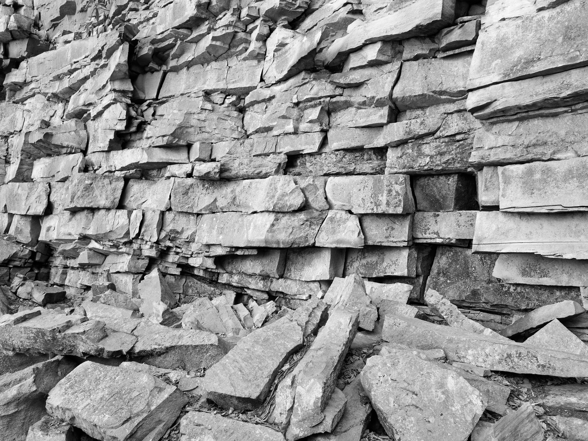 New River Gorge National Park and Preserve XIV