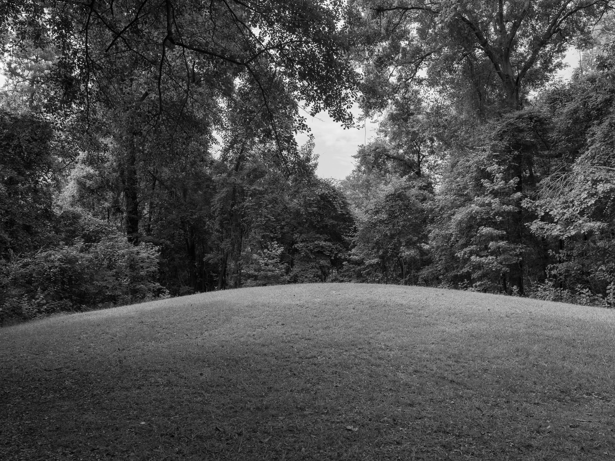 Ocmulgee Mounds National Historical Park 2