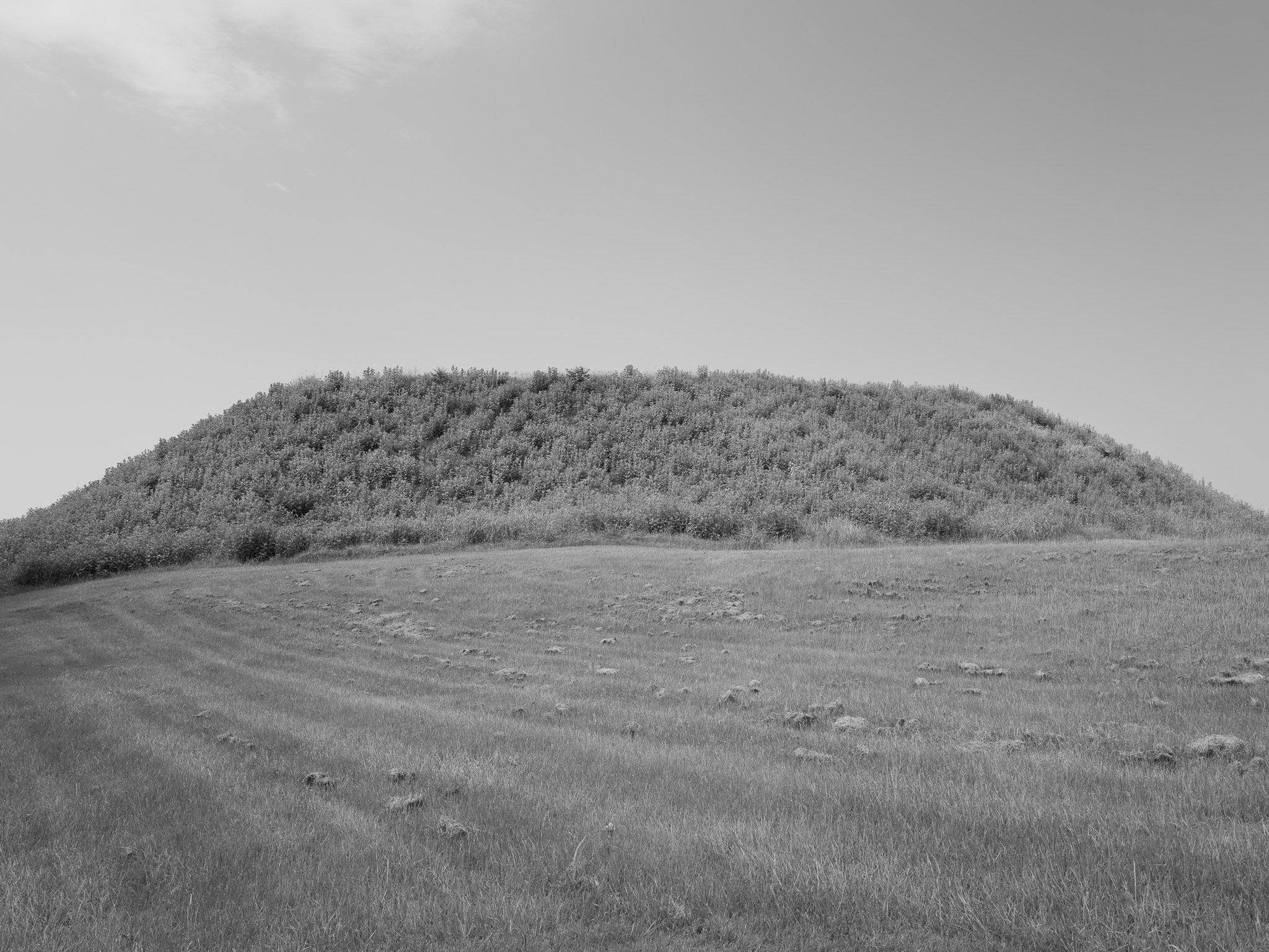 Ocmulgee Mounds National Historical Park 3