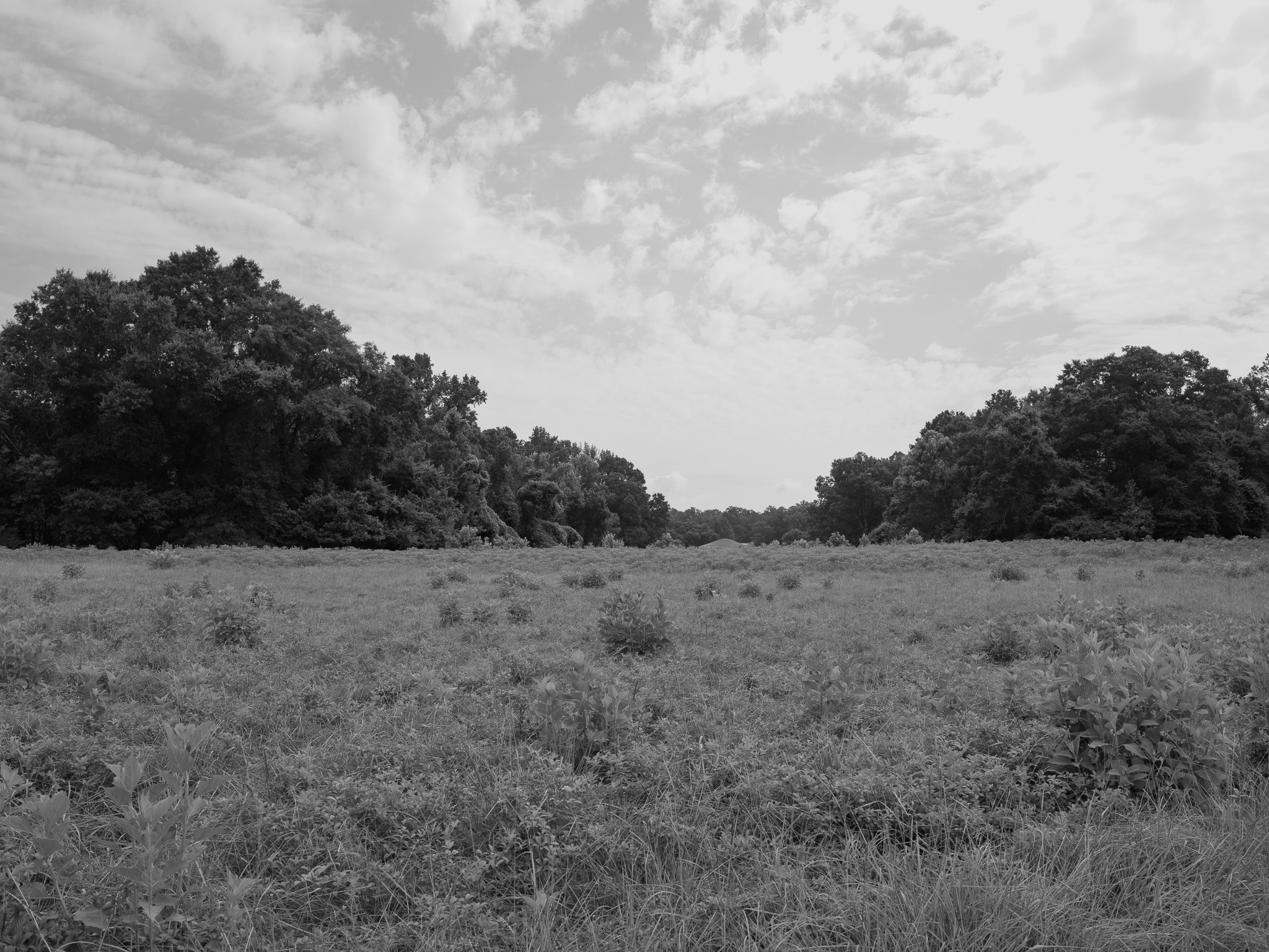 Ocmulgee Mounds National Historical Park 4