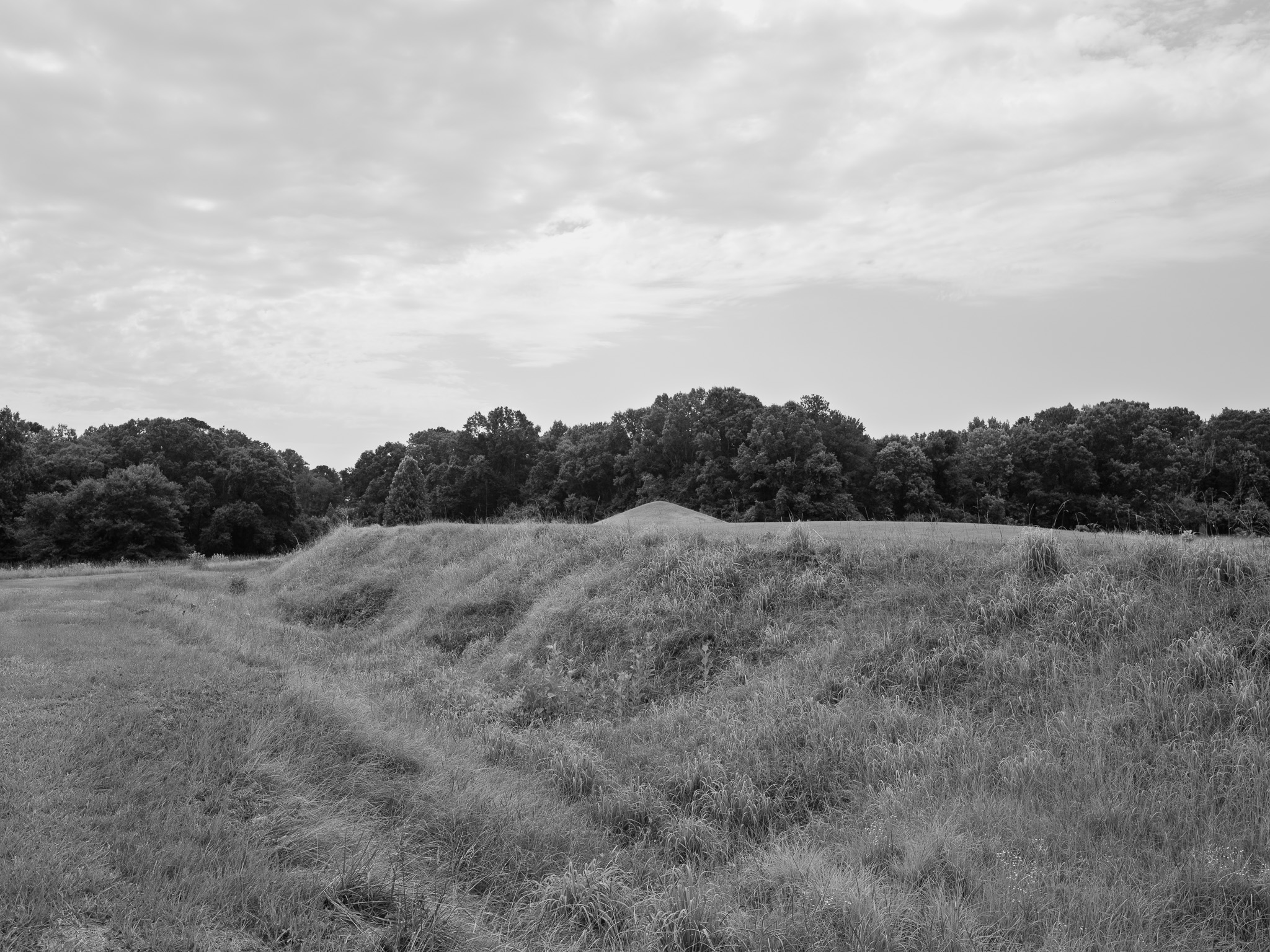 Ocmulgee Mounds National Historical Park 5