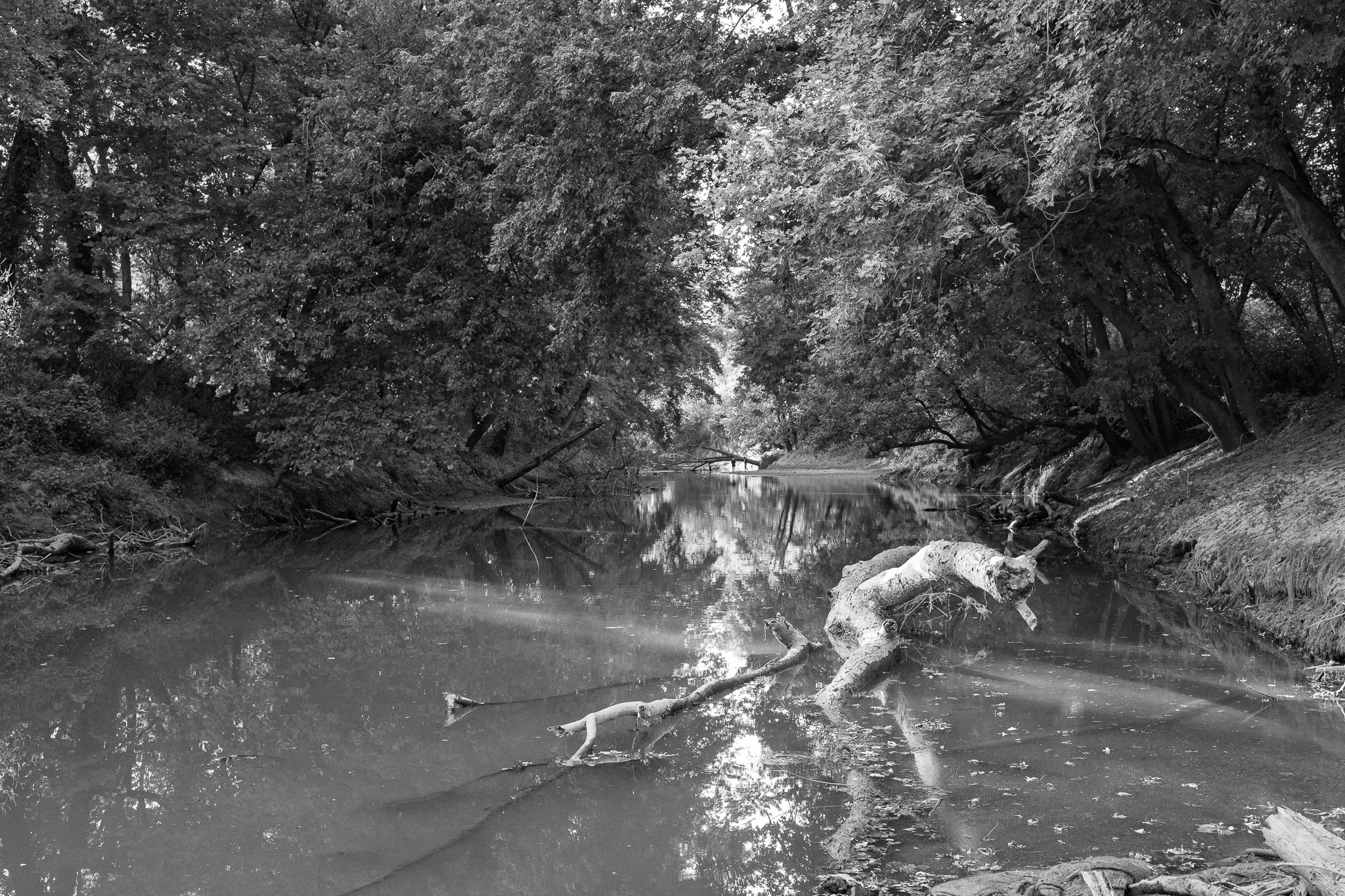 Otto Armleder Memorial Park II