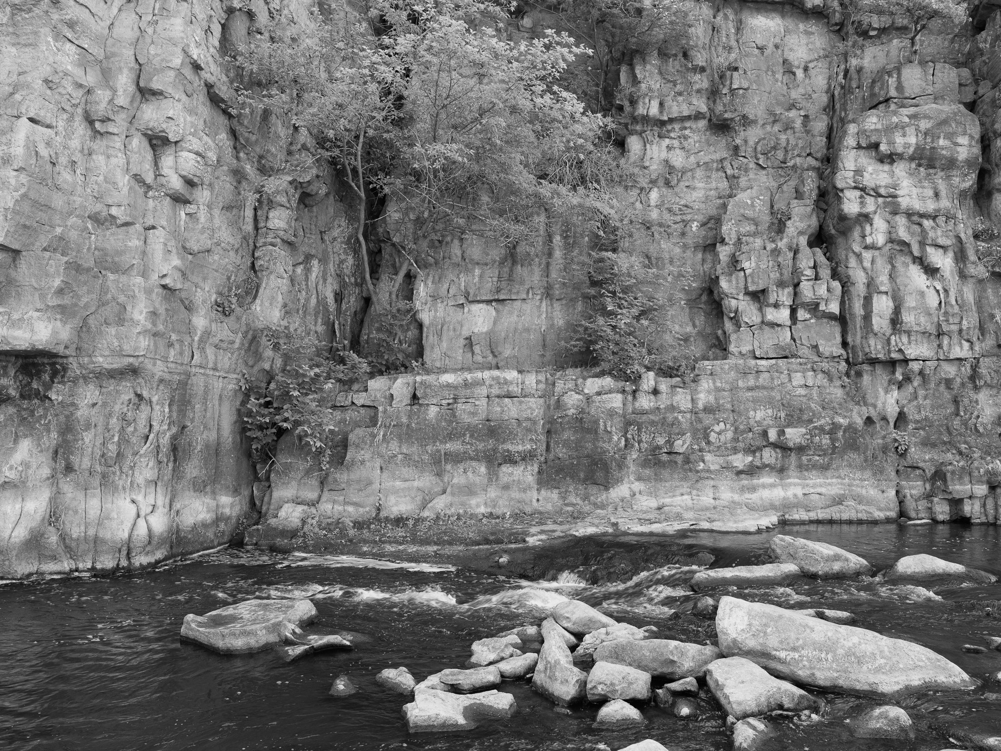 Palisades State Park 7