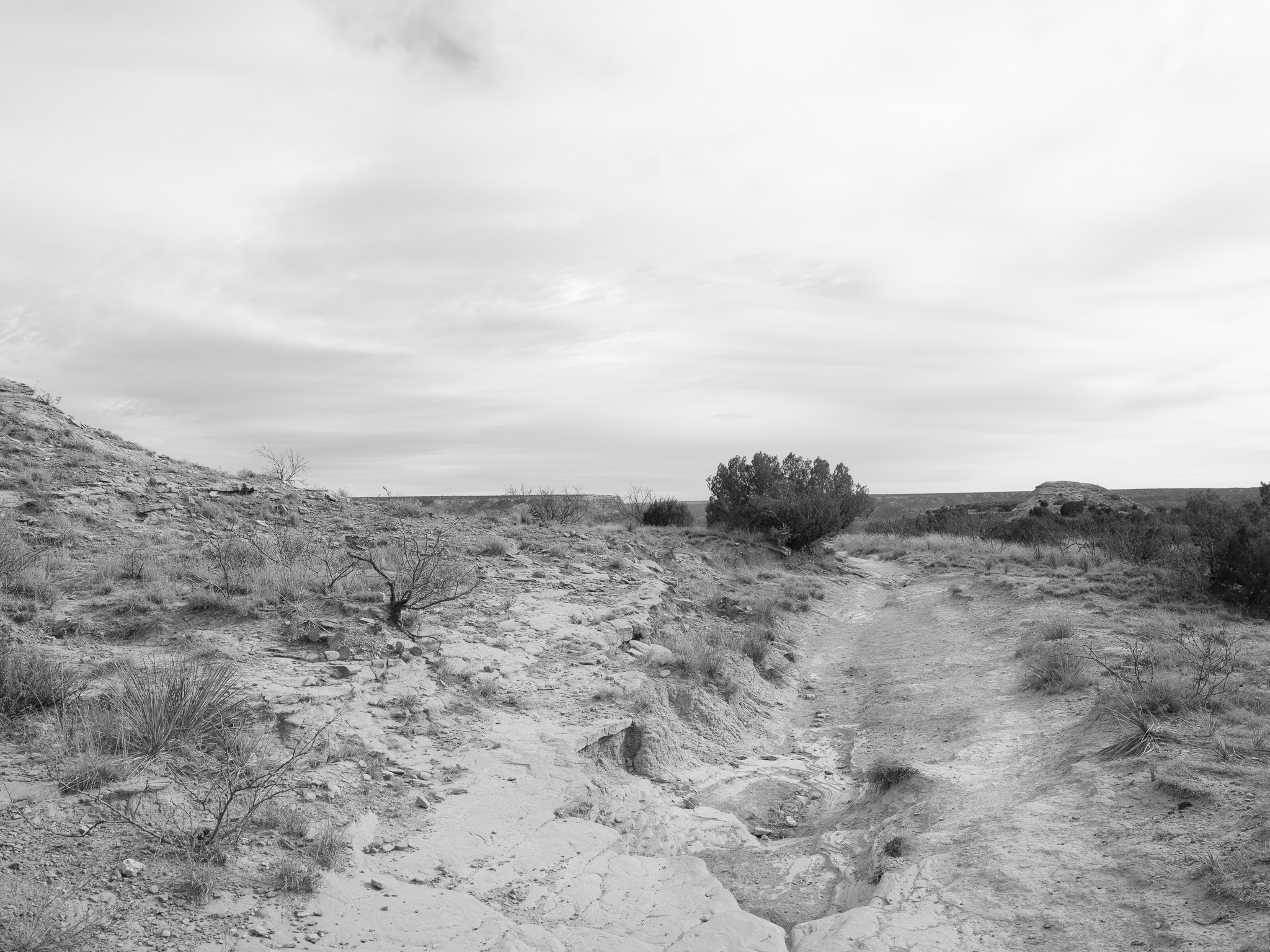Palo Duro Canyon State Park II