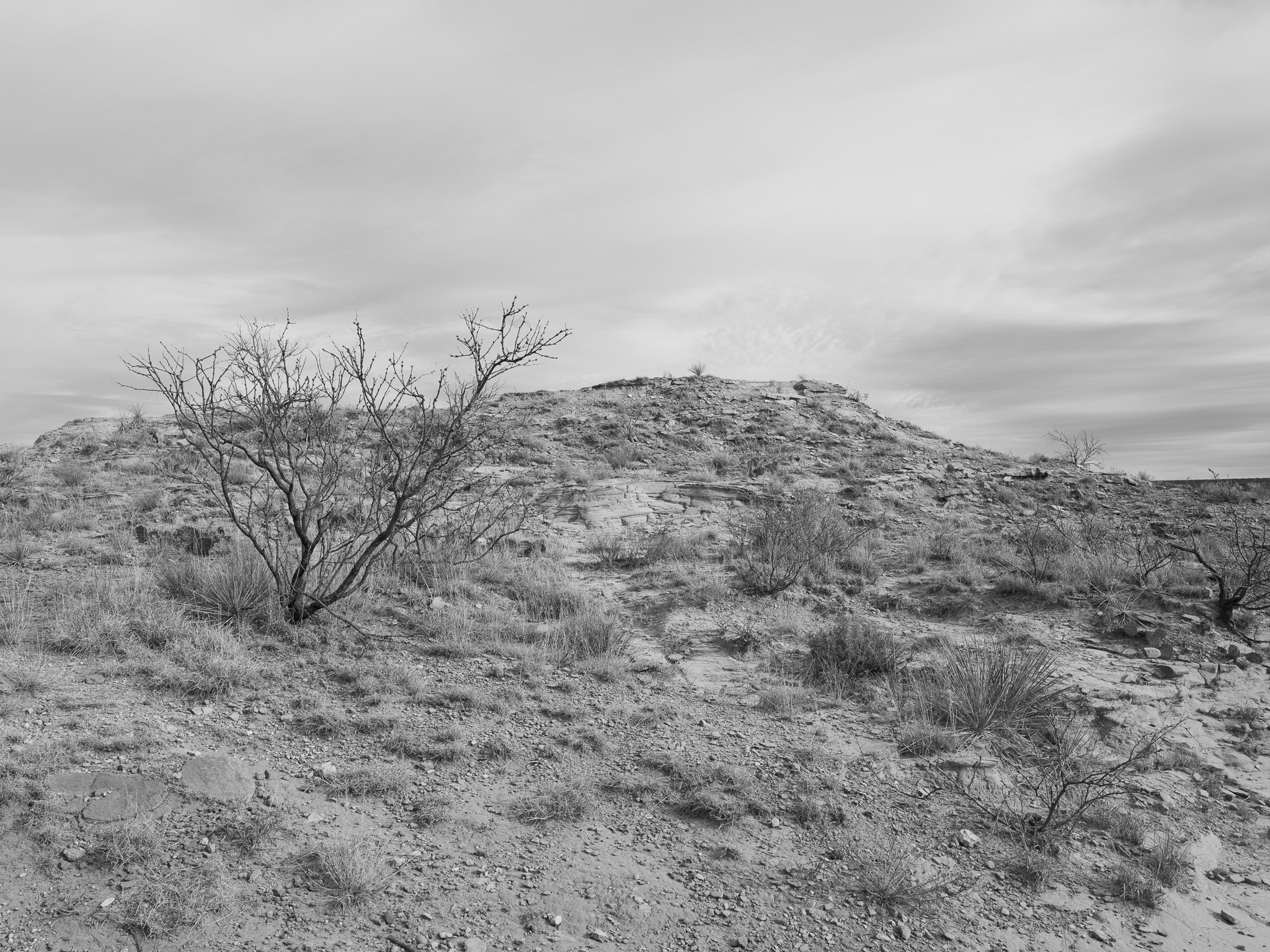 Palo Duro Canyon State Park III