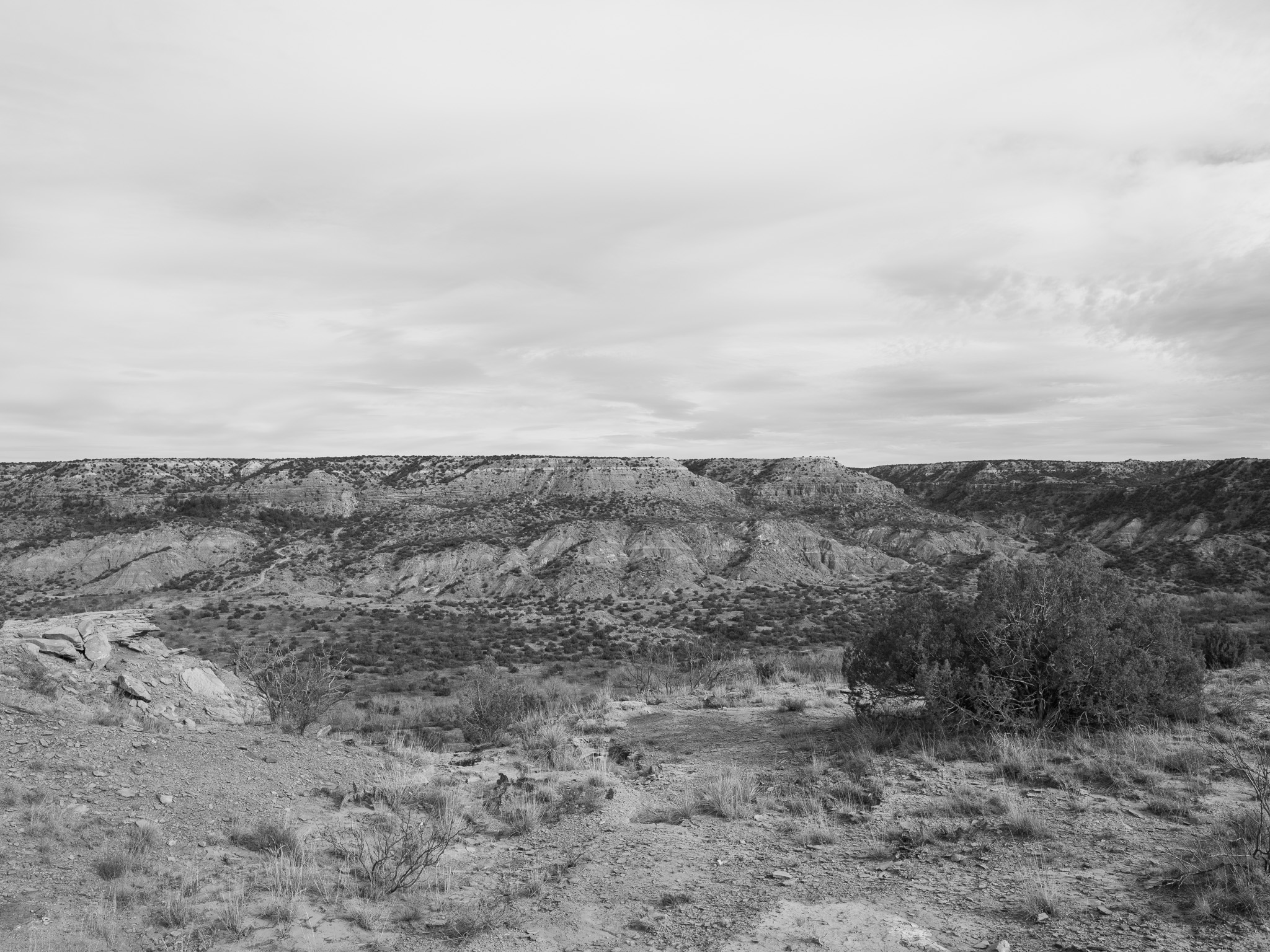Palo Duro Canyon State Park V