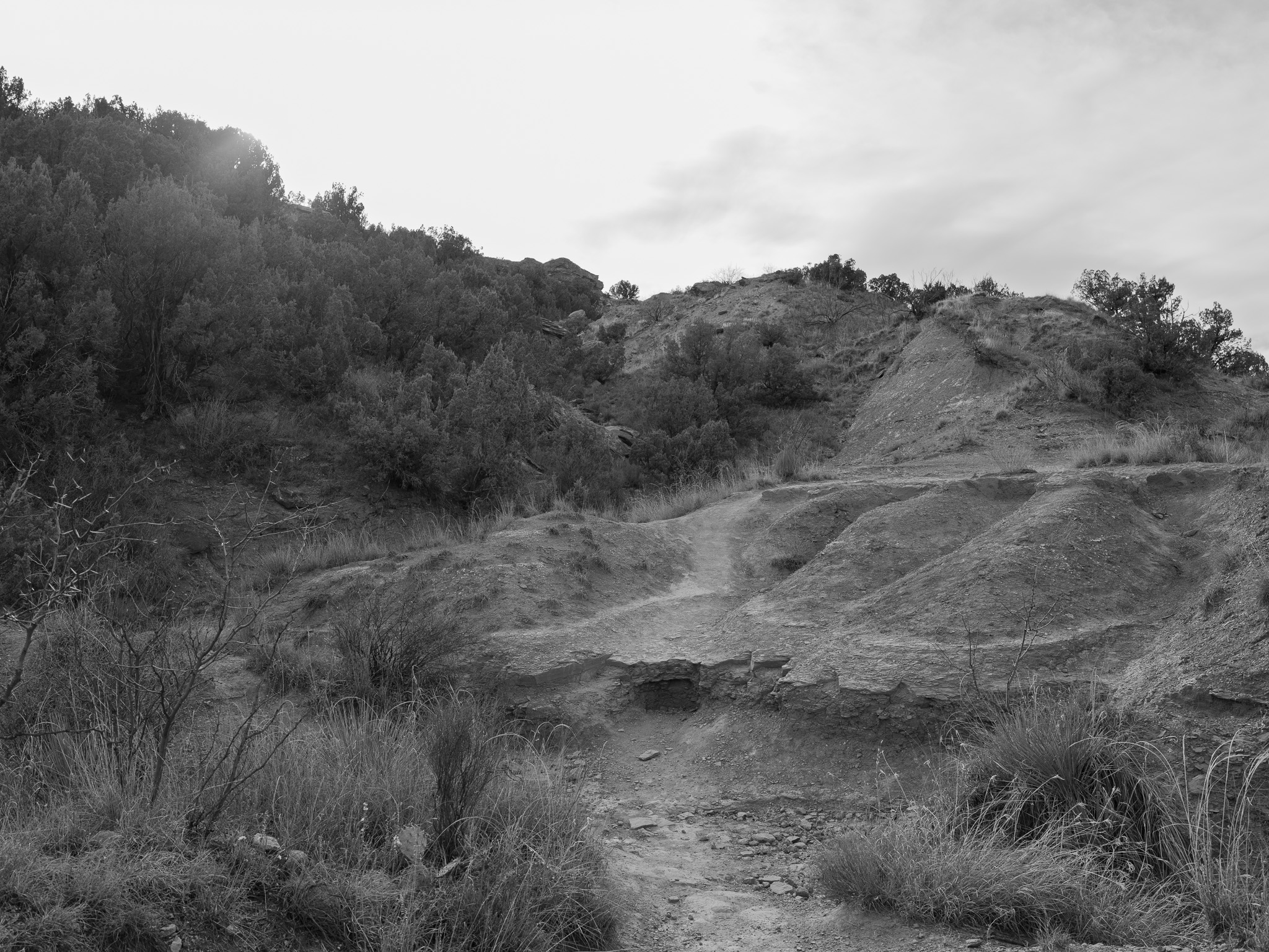 Palo Duro Canyon State Park VI