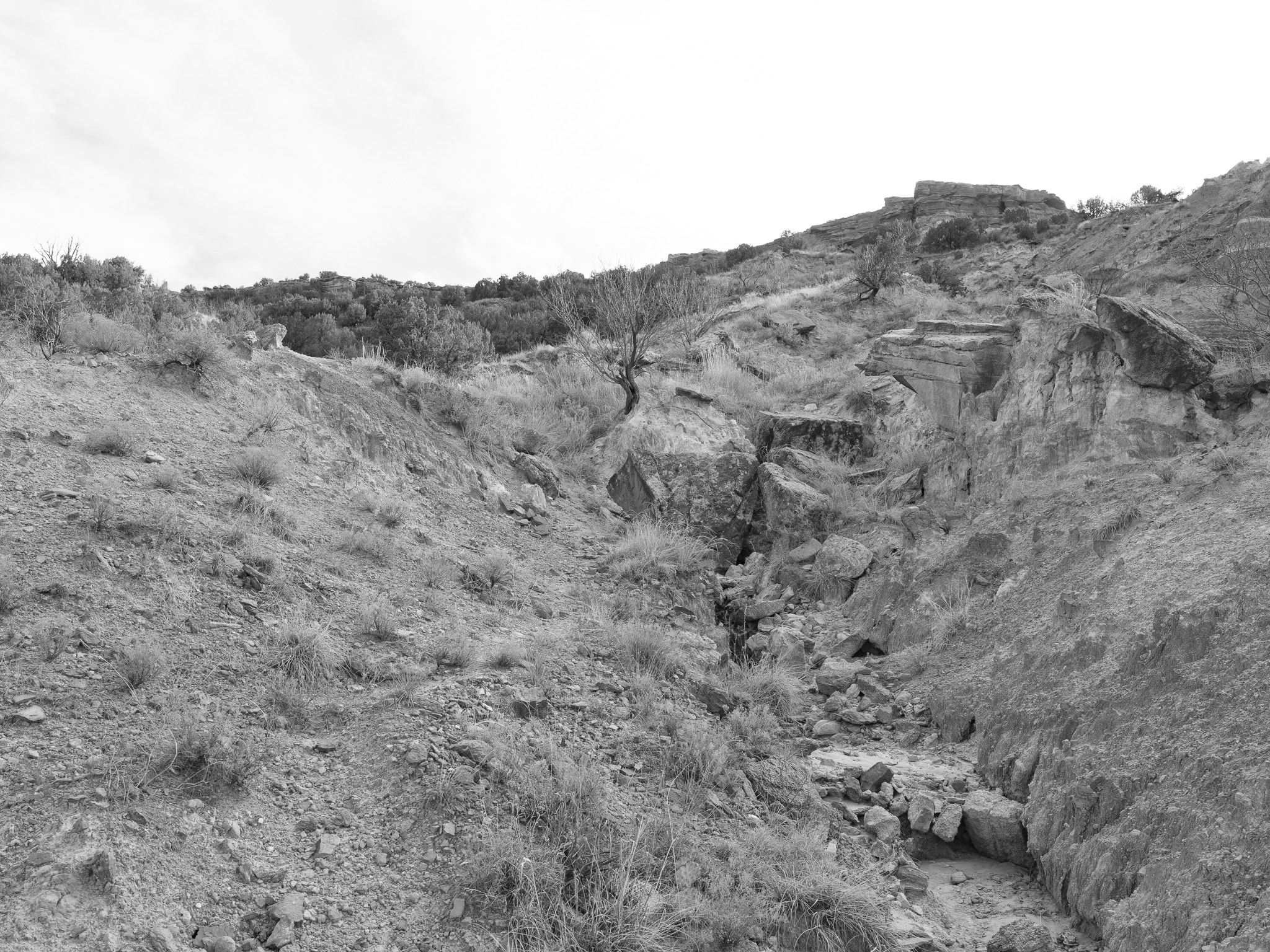 Palo Duro Canyon State Park II