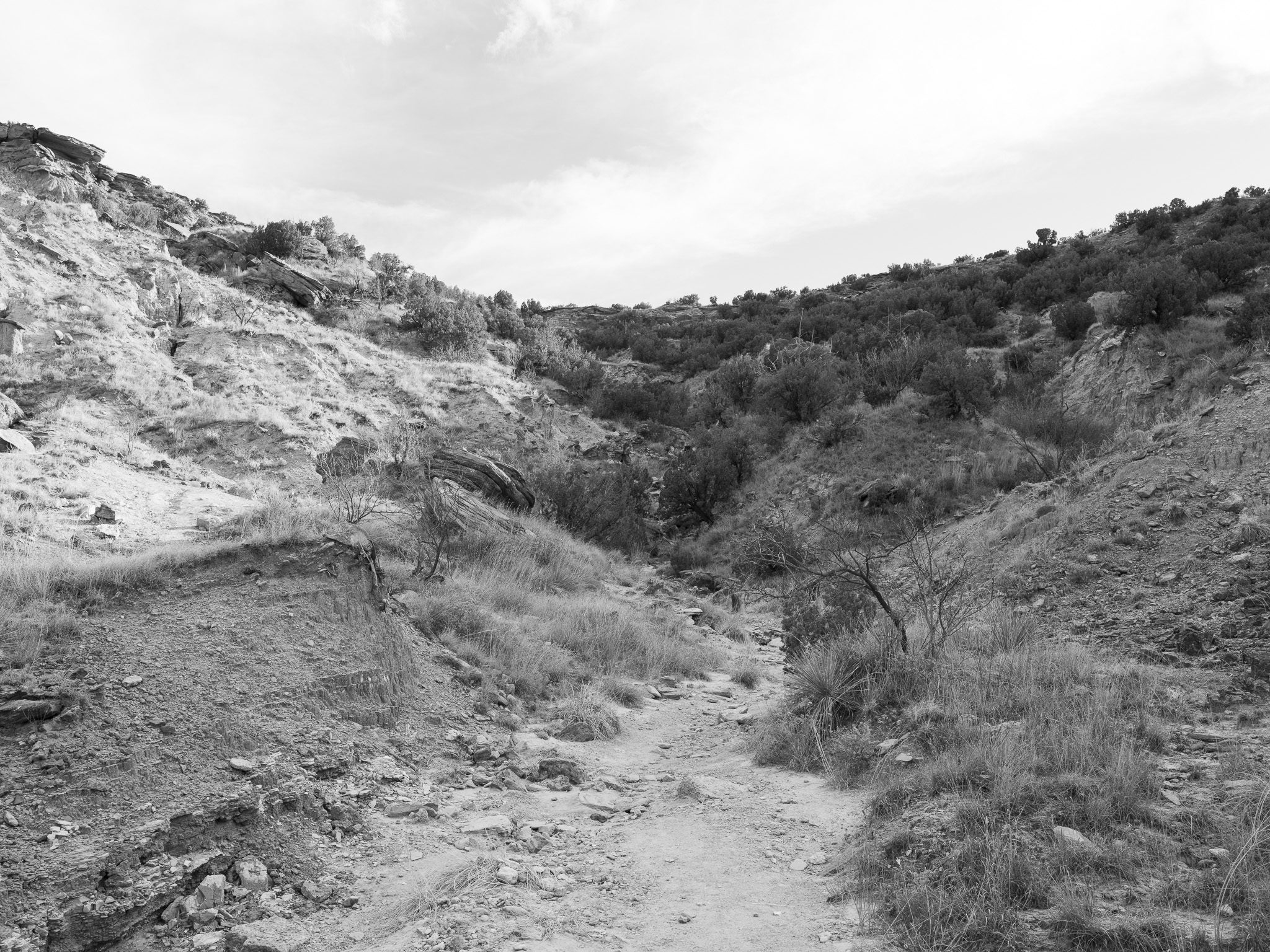 Palo Duro Canyon State Park IV