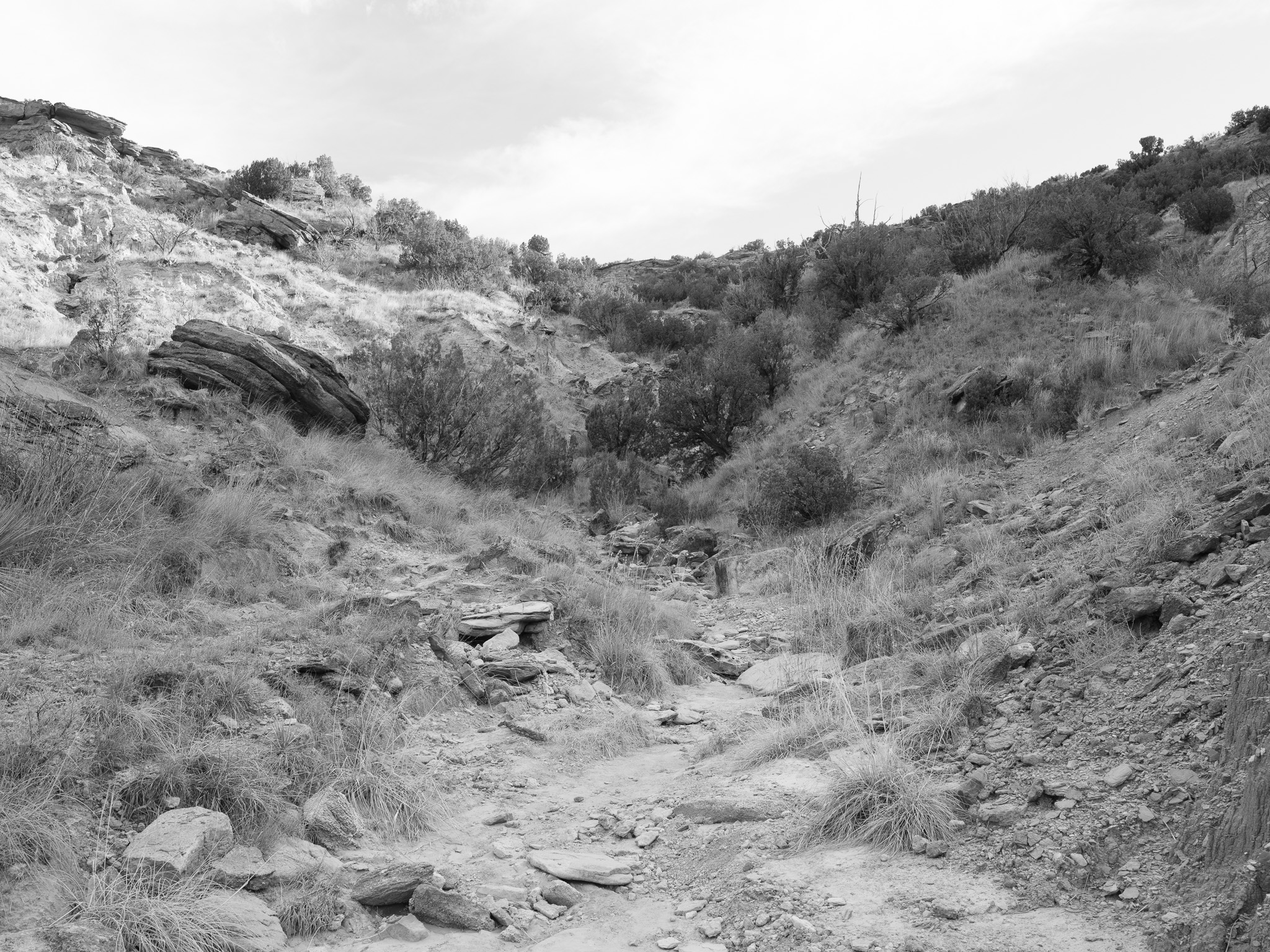 Palo Duro Canyon State Park XII