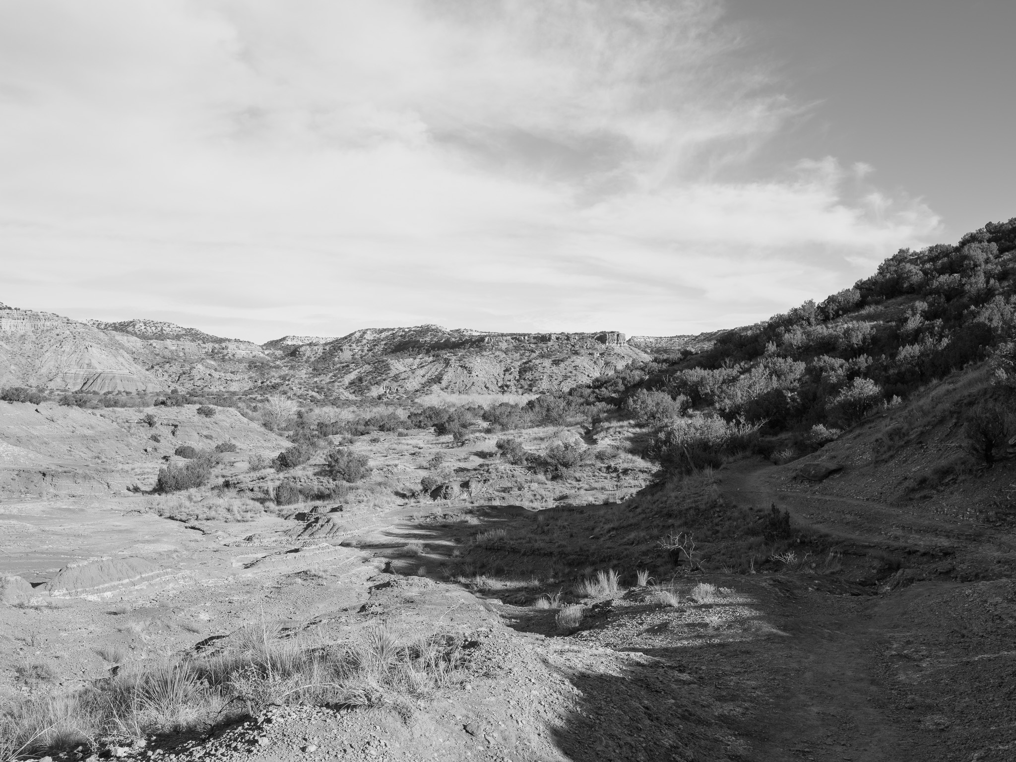 Palo Duro Canyon State Park XIII