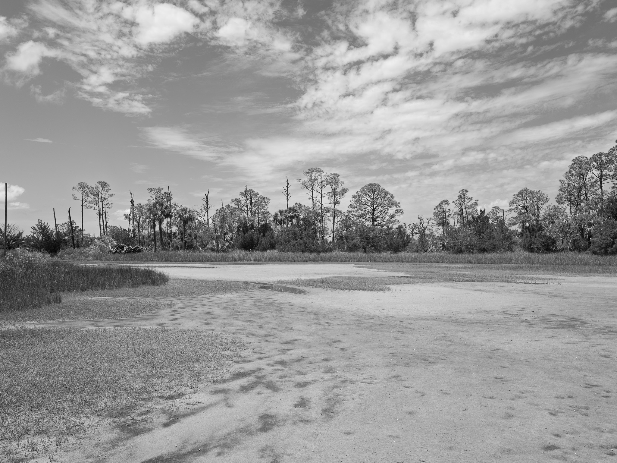 Pinckney Island National Wildlife Refuge 2
