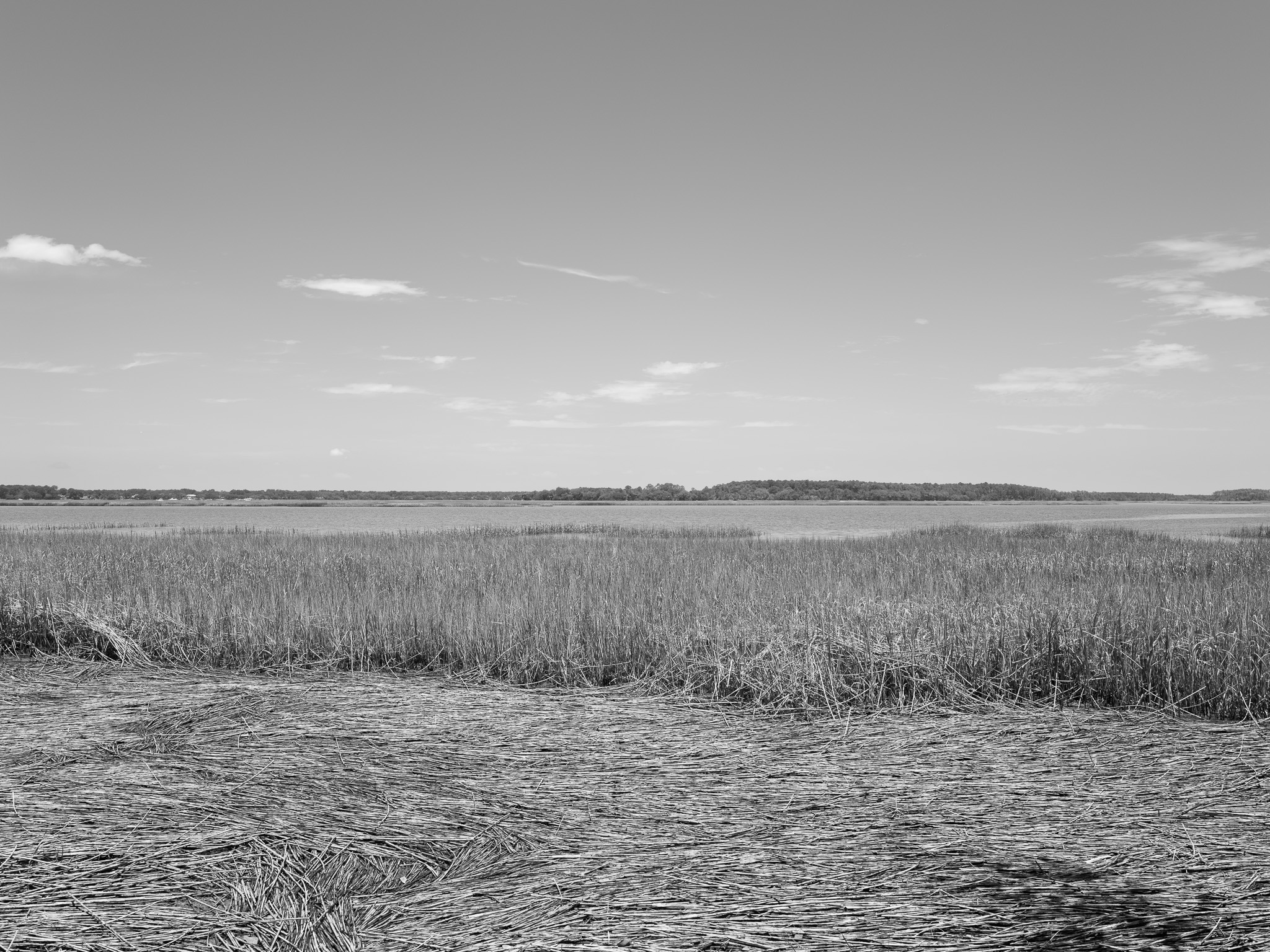 Pinckney Island National Wildlife Refuge 6