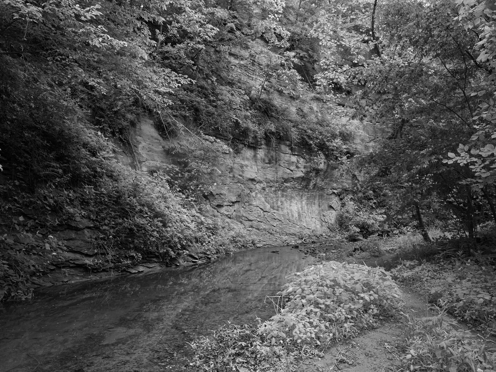 Pine Hills Nature Preserve 5