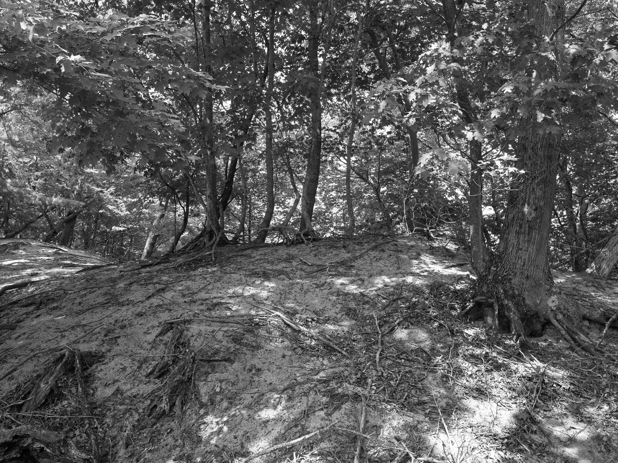 P.J. Hoffmaster State Park 1