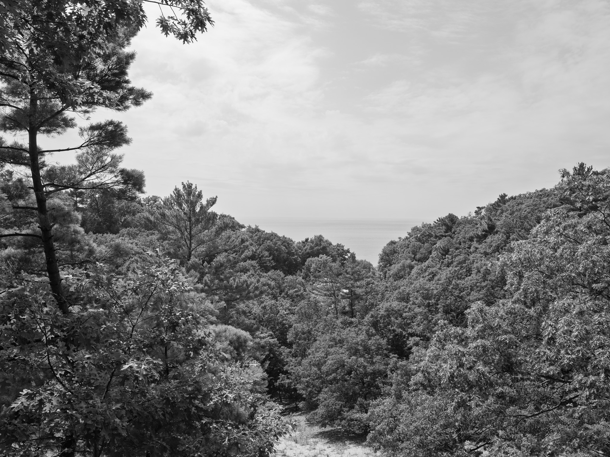 P.J. Hoffmaster State Park 2