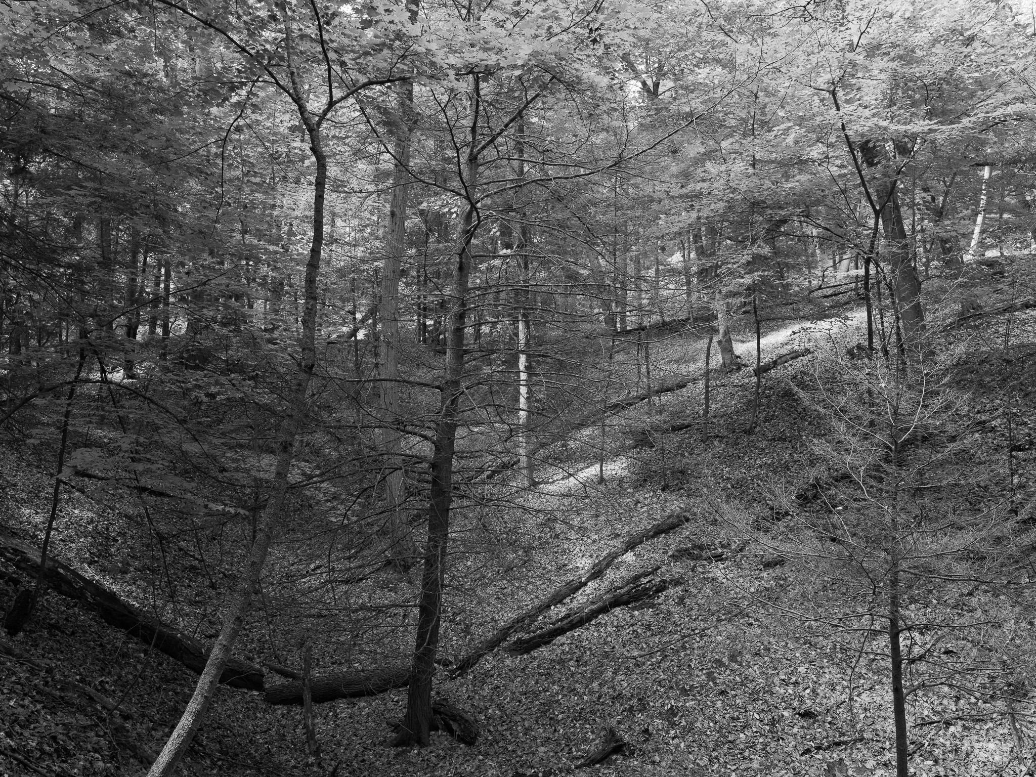 P.J. Hoffmaster State Park 3